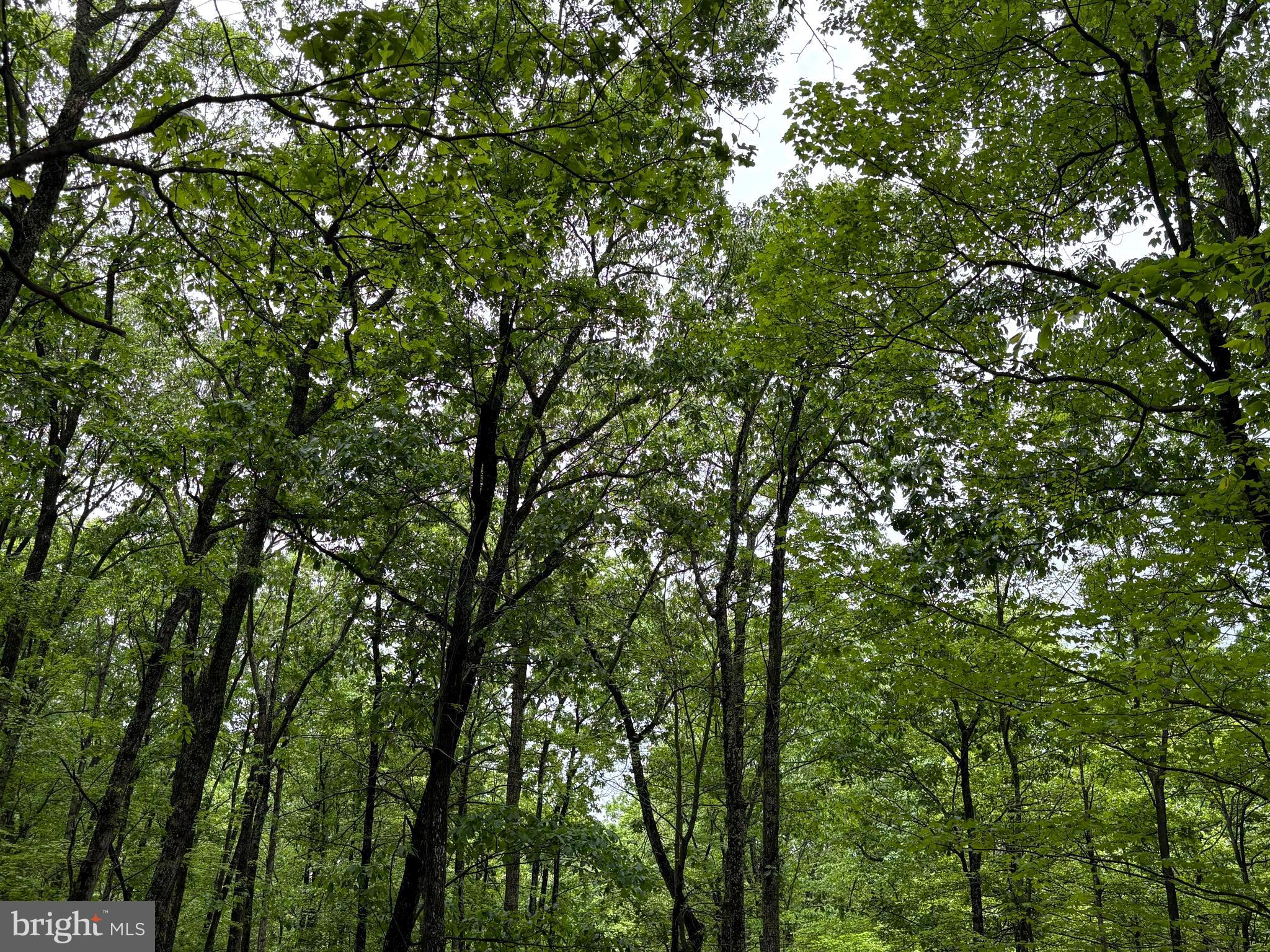 MEADOW HILLS ESTATES - Land