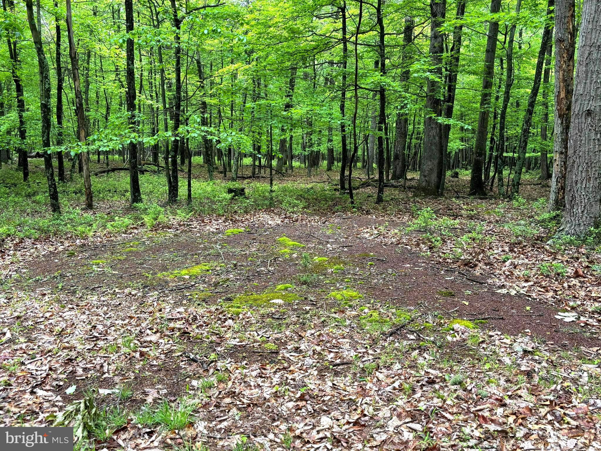 MEADOW HILLS ESTATES - Land