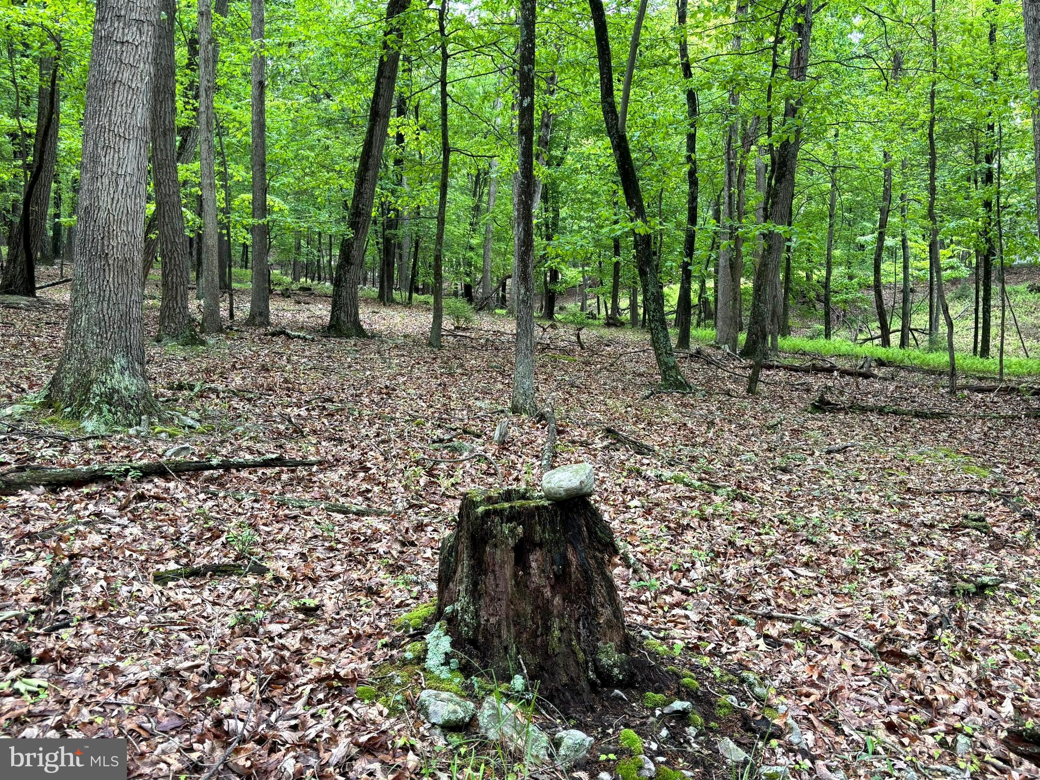 MEADOW HILLS ESTATES - Land