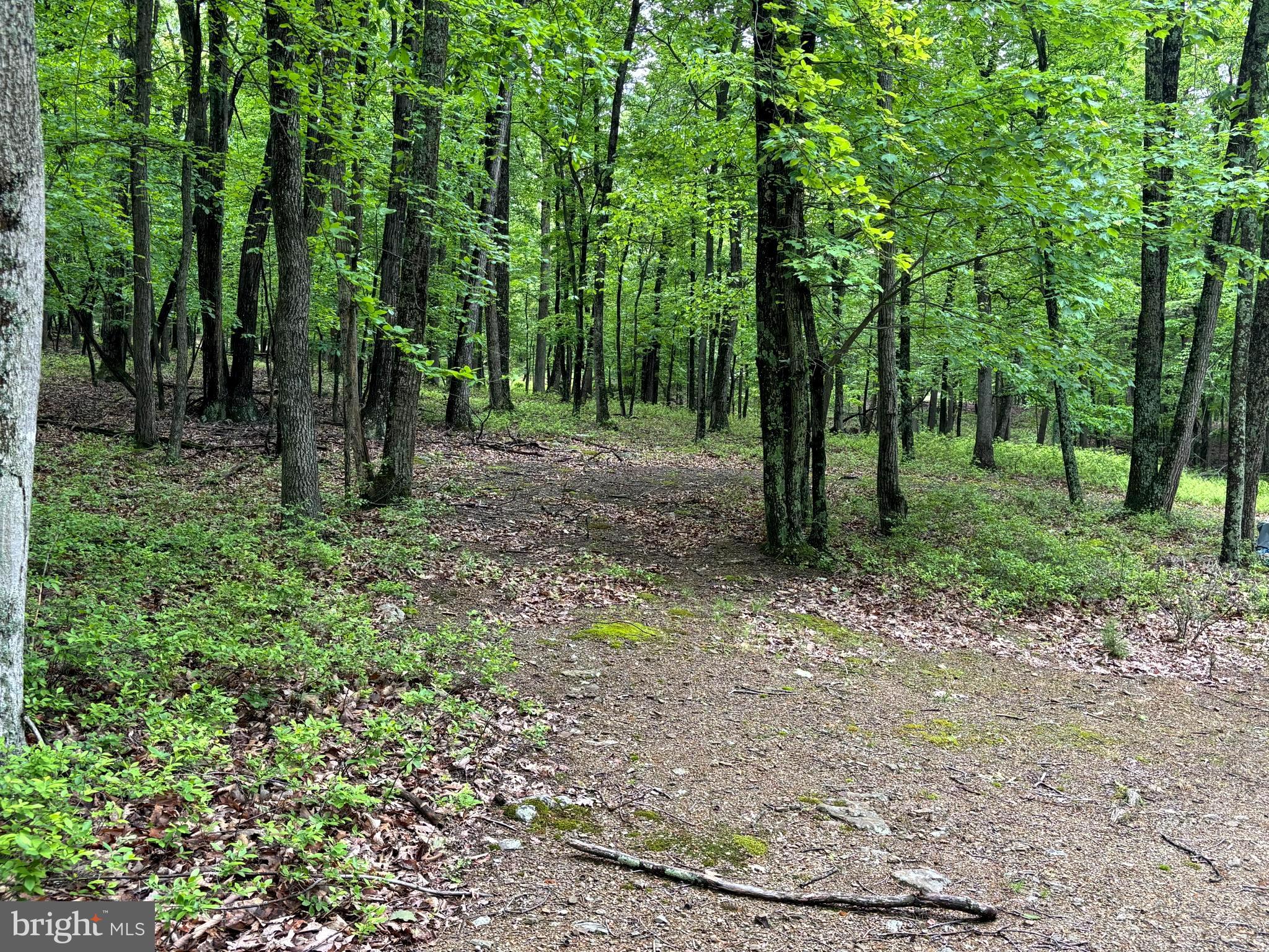 MEADOW HILLS ESTATES - Land