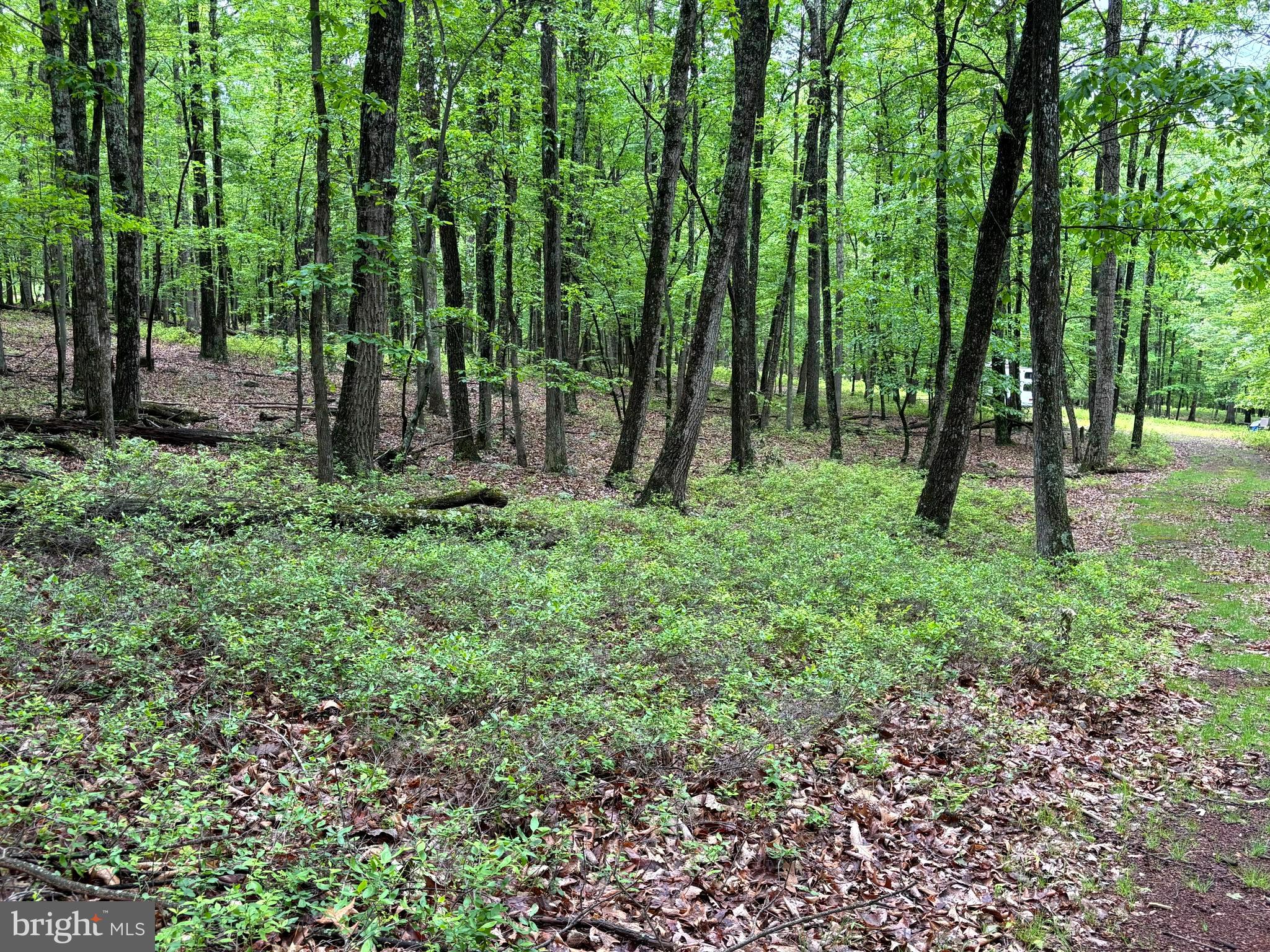 MEADOW HILLS ESTATES - Land