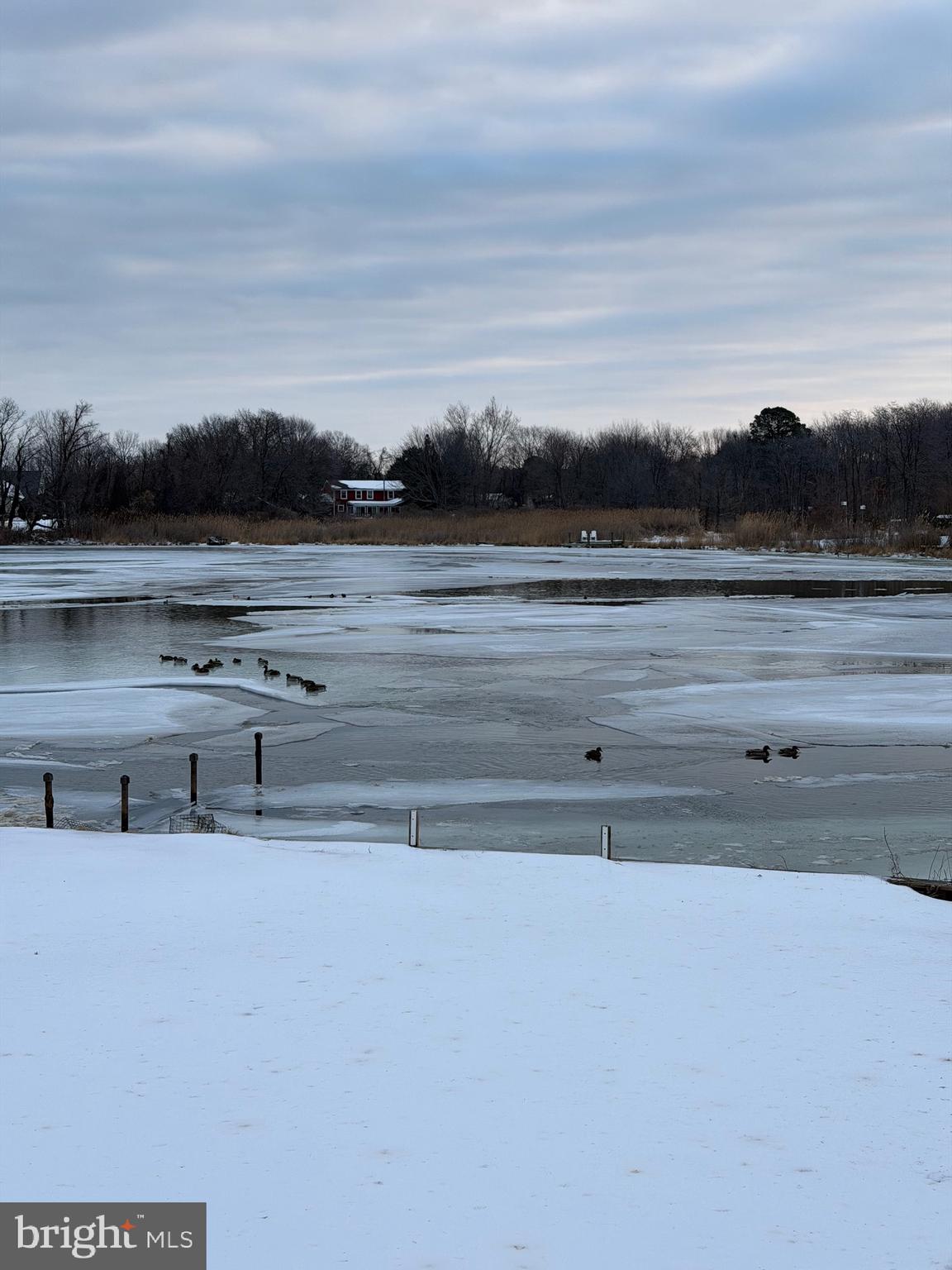 TOWER GARDENS - Residential