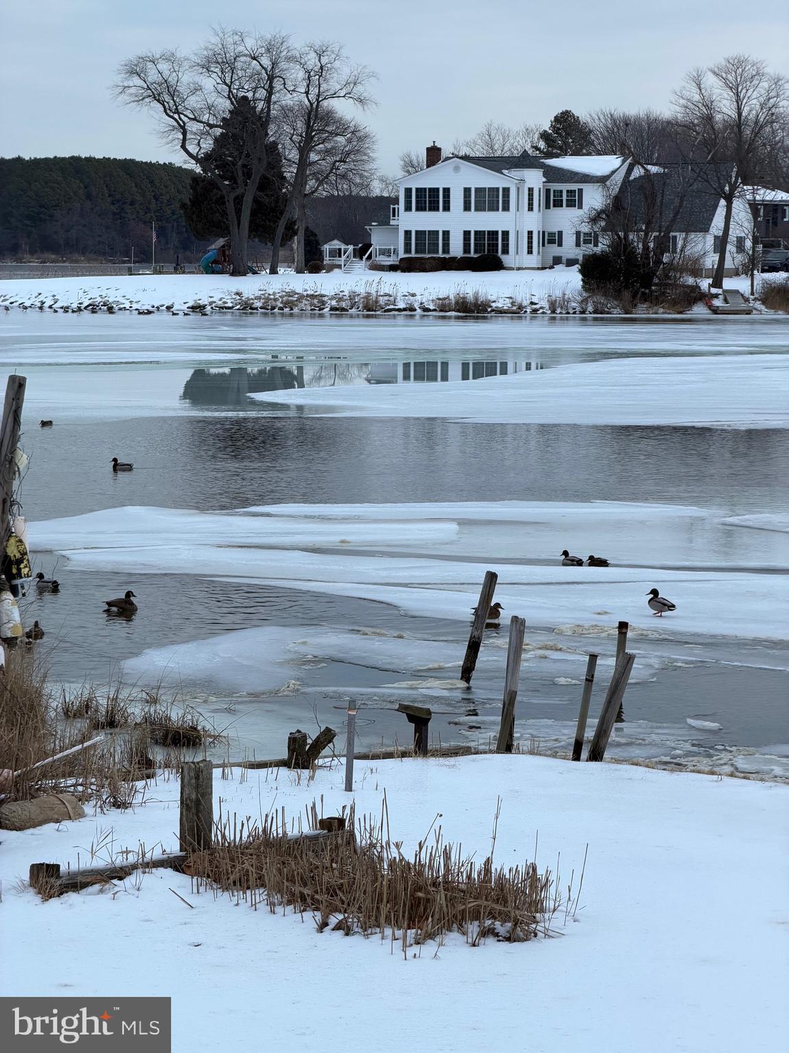 TOWER GARDENS - Residential