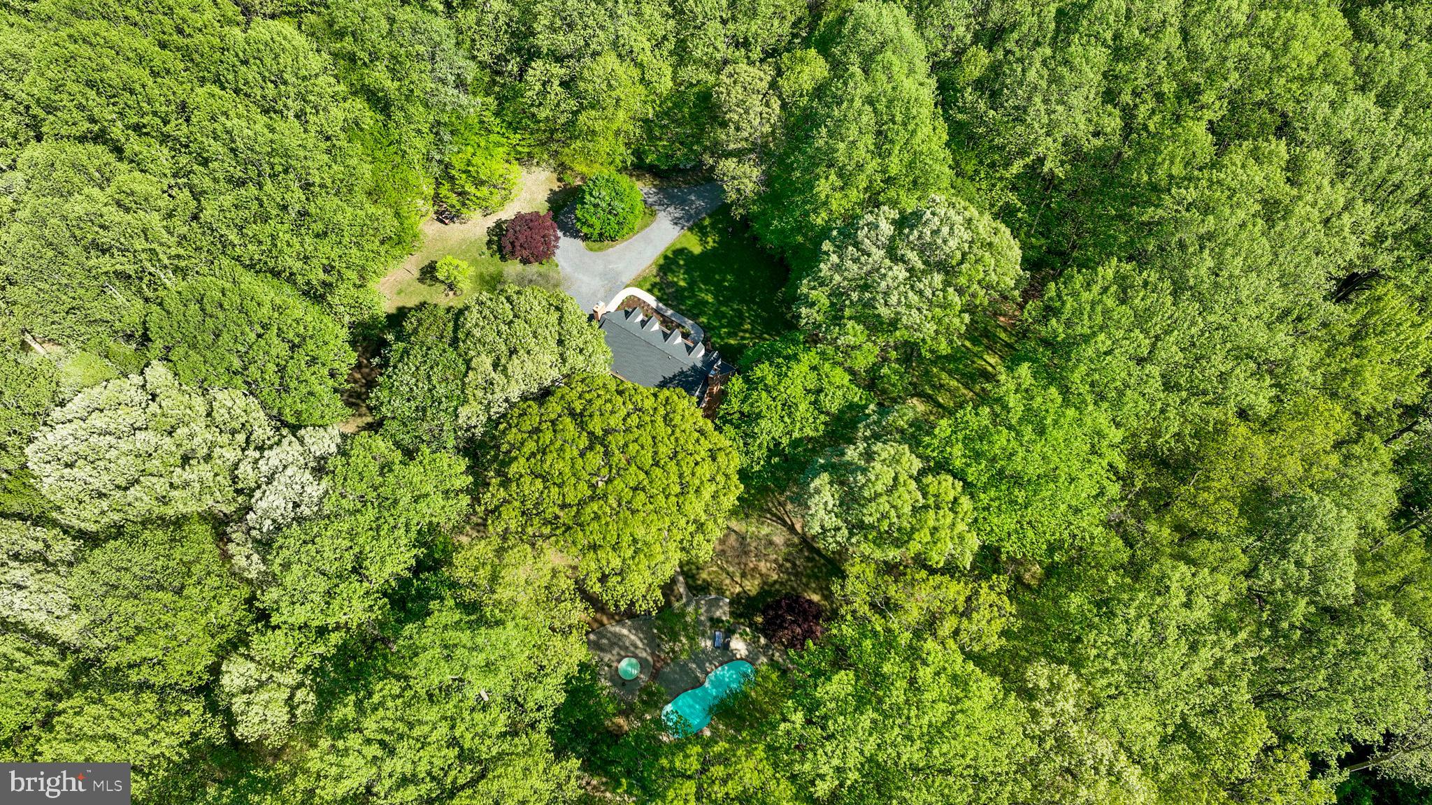 208 BIGGS PURCHASE LANE