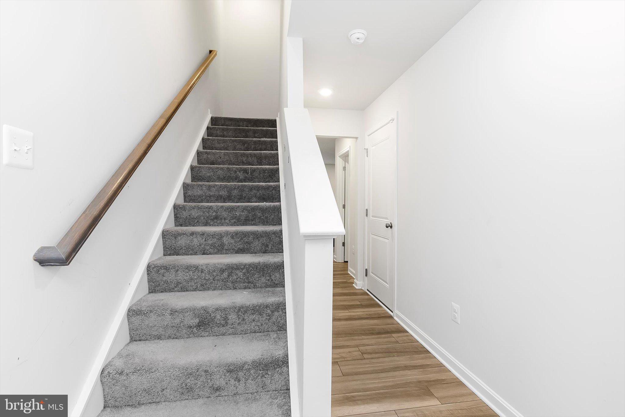 NORBORNE GLEBE - Residential