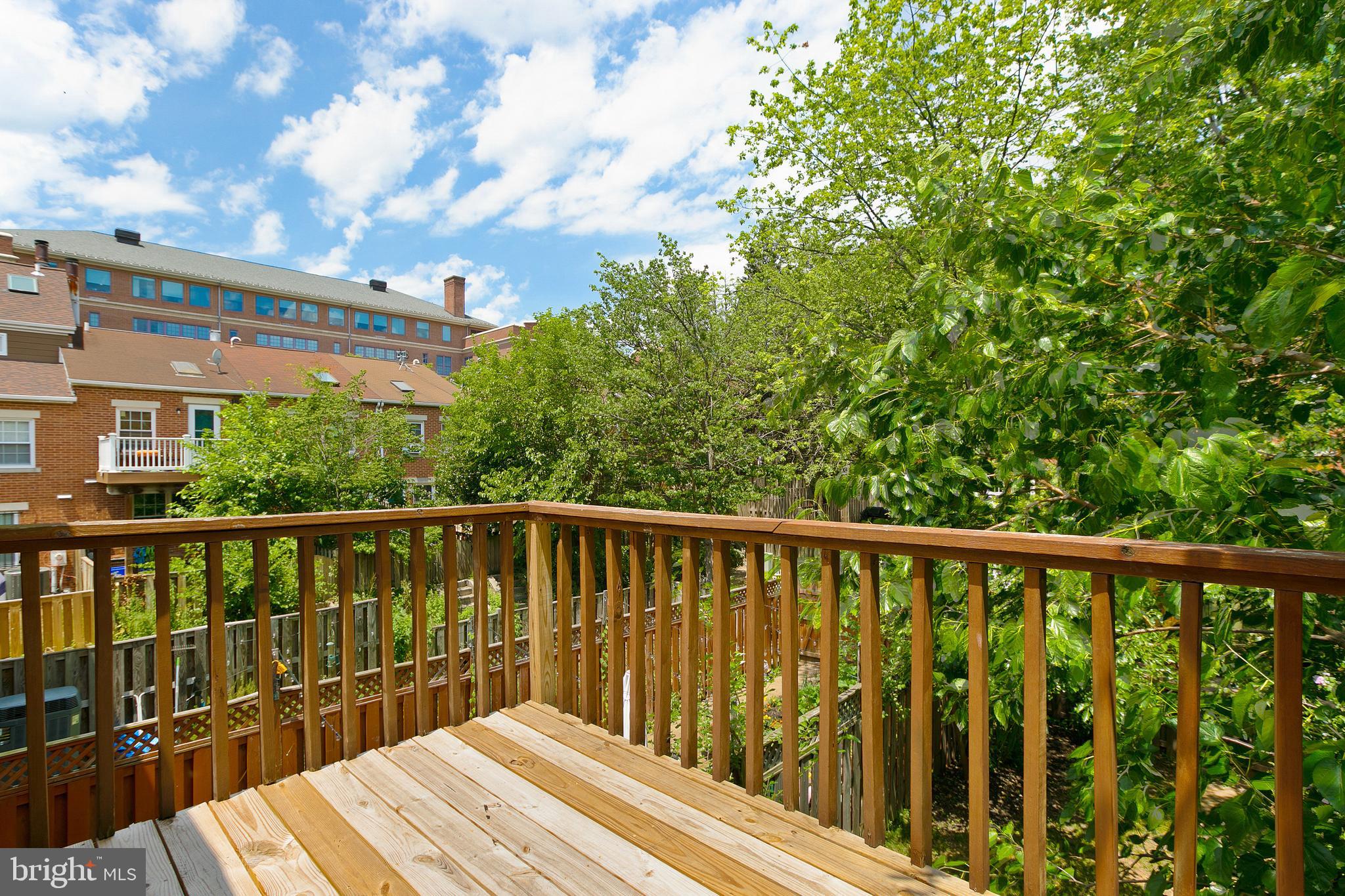 BUTCHERS HILL - Residential Lease