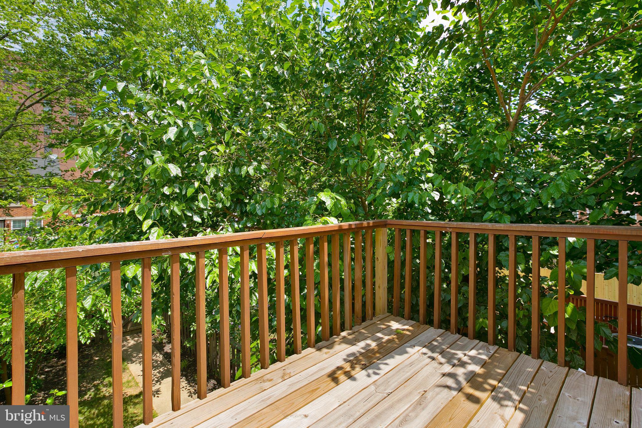 BUTCHERS HILL - Residential Lease