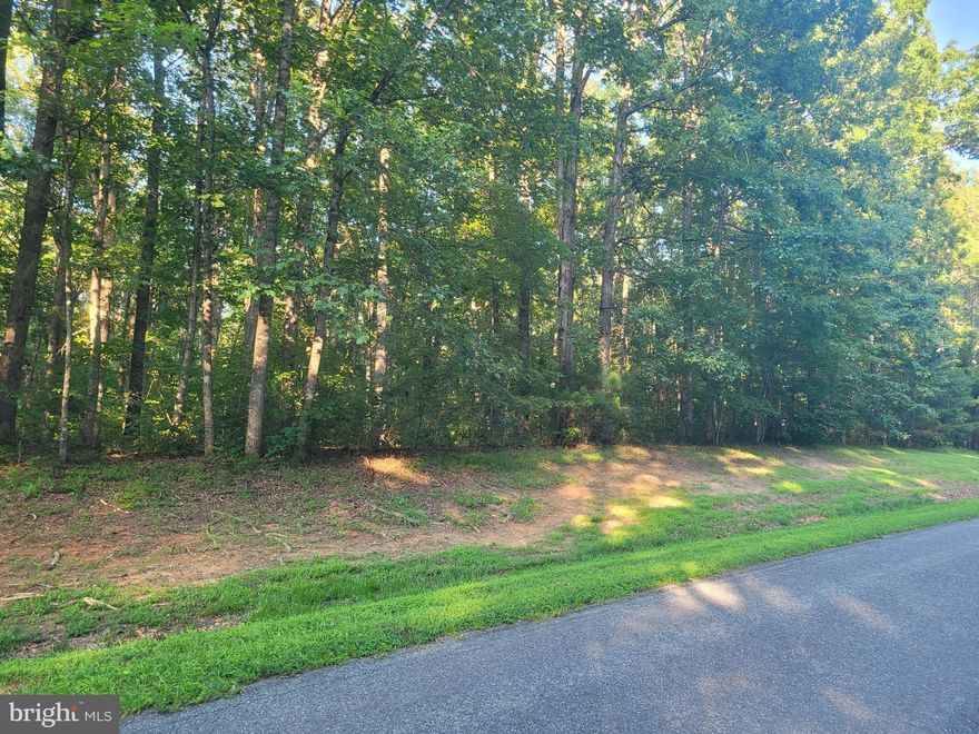 Build your dream home on this beautiful 3-acre wooded lot in the Bien Venue subdivision at Lake Anna! Enjoy a peaceful, private setting surrounded by mature hardwood trees and minimal undergrowth—ideal for anyone seeking quiet country living close to the water.  This property includes soil work for a 3-bedroom conventional drainfield, saving you time and money as you plan your build. Residents enjoy access to a gated common area with a private boat launch, first-come-first-served boat slips, a sandy beach, picnic area, and playground—the perfect way to enjoy Lake Anna living without the waterfront price tag.  Conveniently located near The Boardwalk at Lake Anna, where you’ll find local favorites like Tim’s at Lake Anna, Moo Thru ice cream, mini golf, and the arcade. The Town of Louisa is also just a short drive away for shopping, dining, and daily essentials.  Don’t miss your opportunity to own a piece of Lake Anna real estate in one of the area’s most charming and well-loved lake access communities!