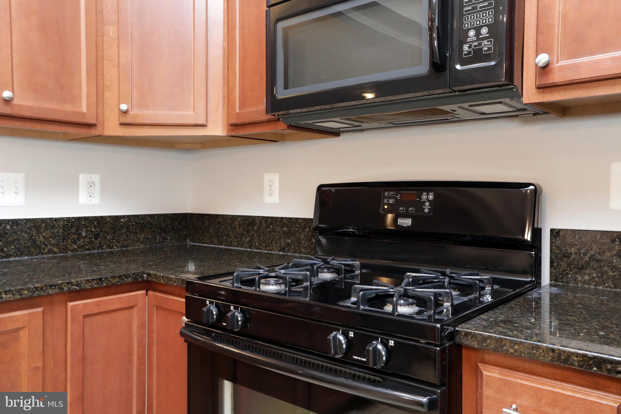 THE VILLAGES OF STEEPLECHASE - Residential