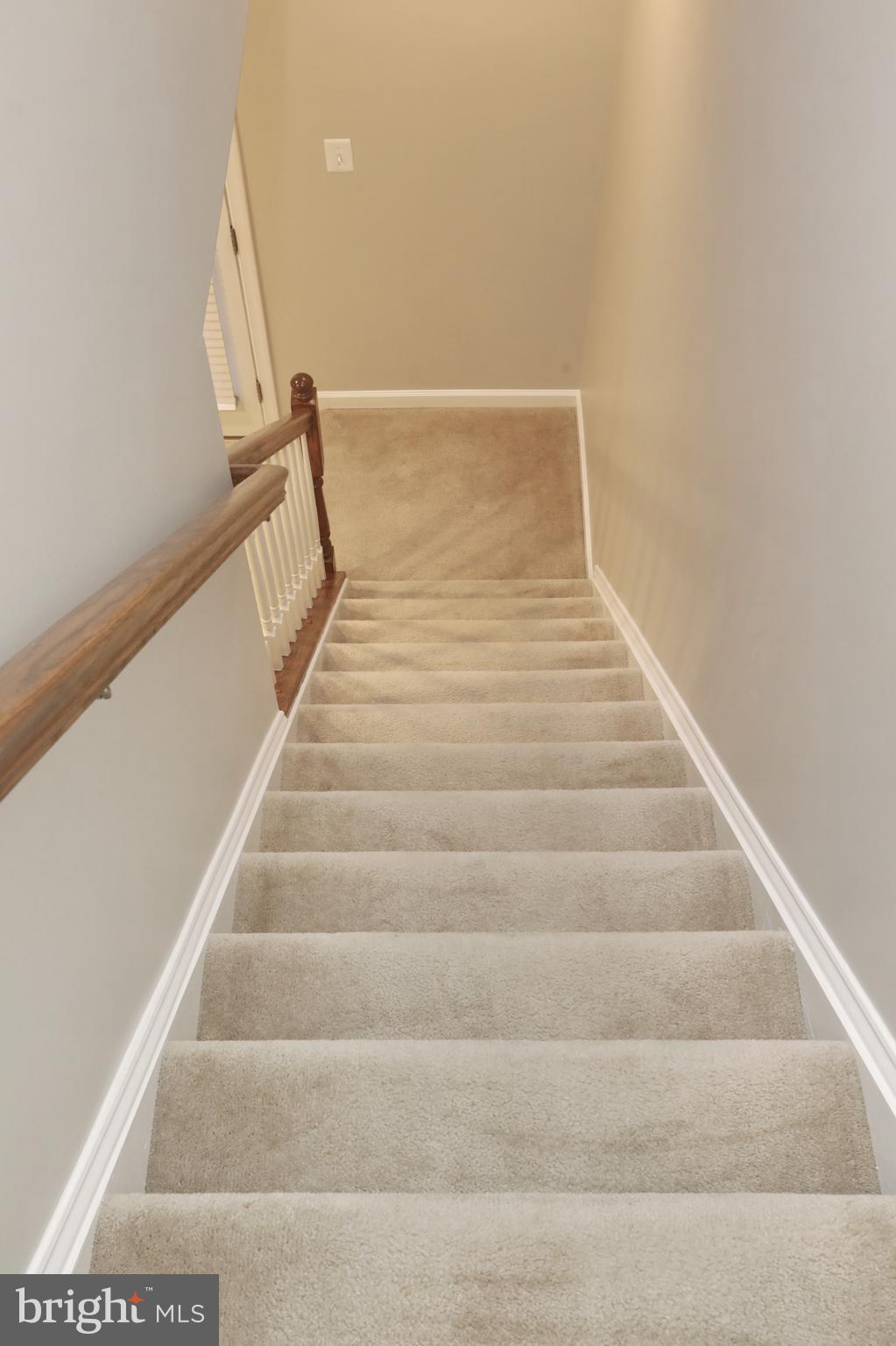 THE VILLAGES OF STEEPLECHASE - Residential