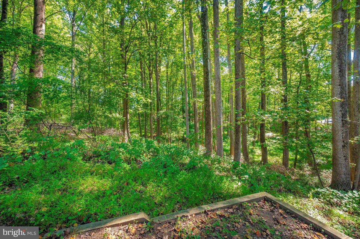 WATKINS MILL - Residential