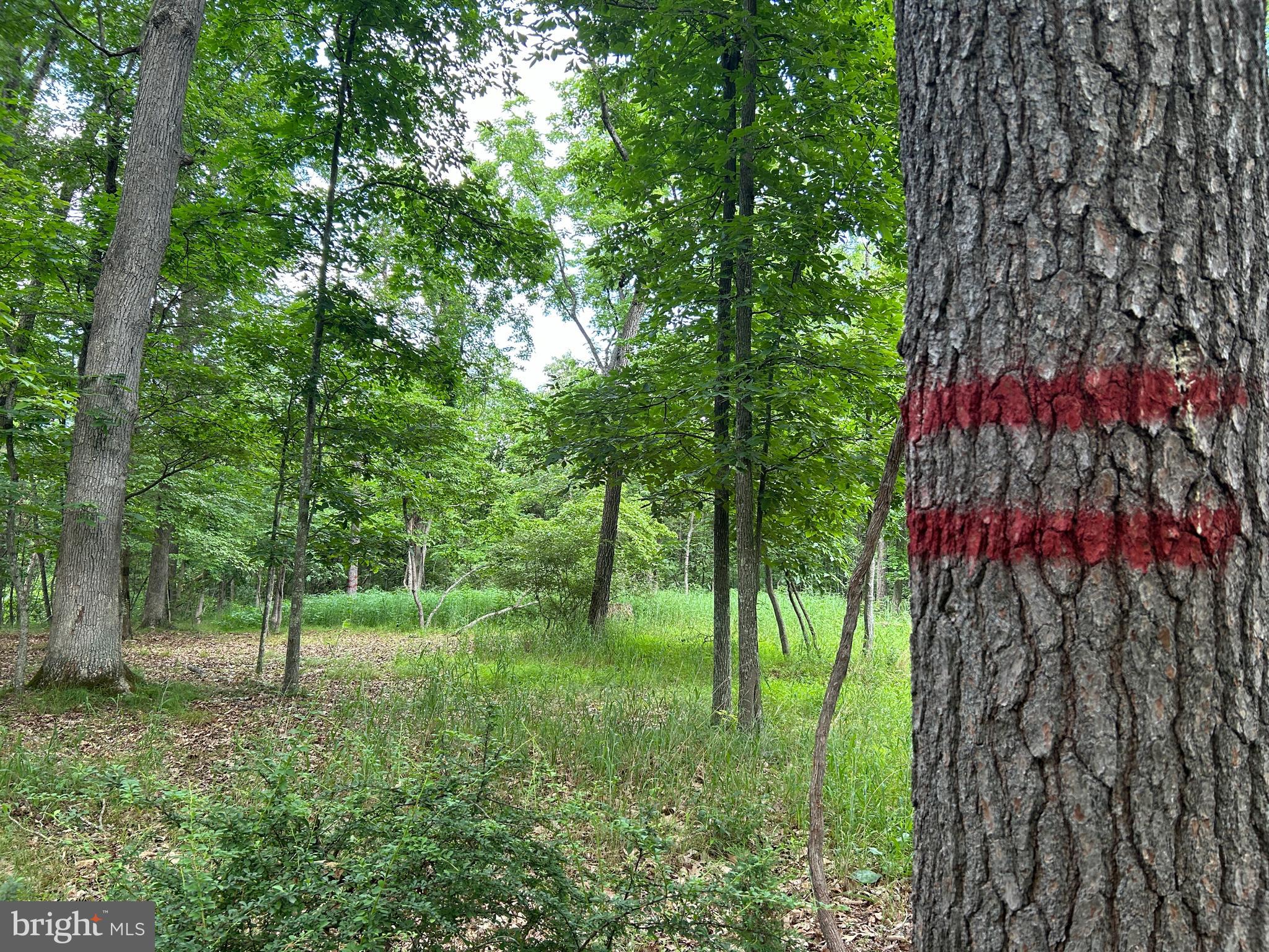 MISTY MEADOWS - Land