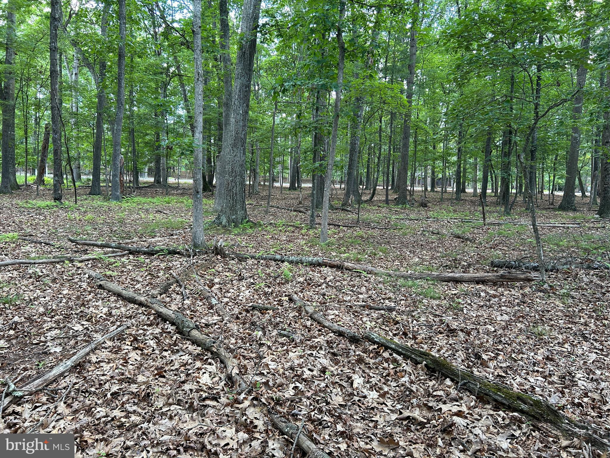 MISTY MEADOWS - Land