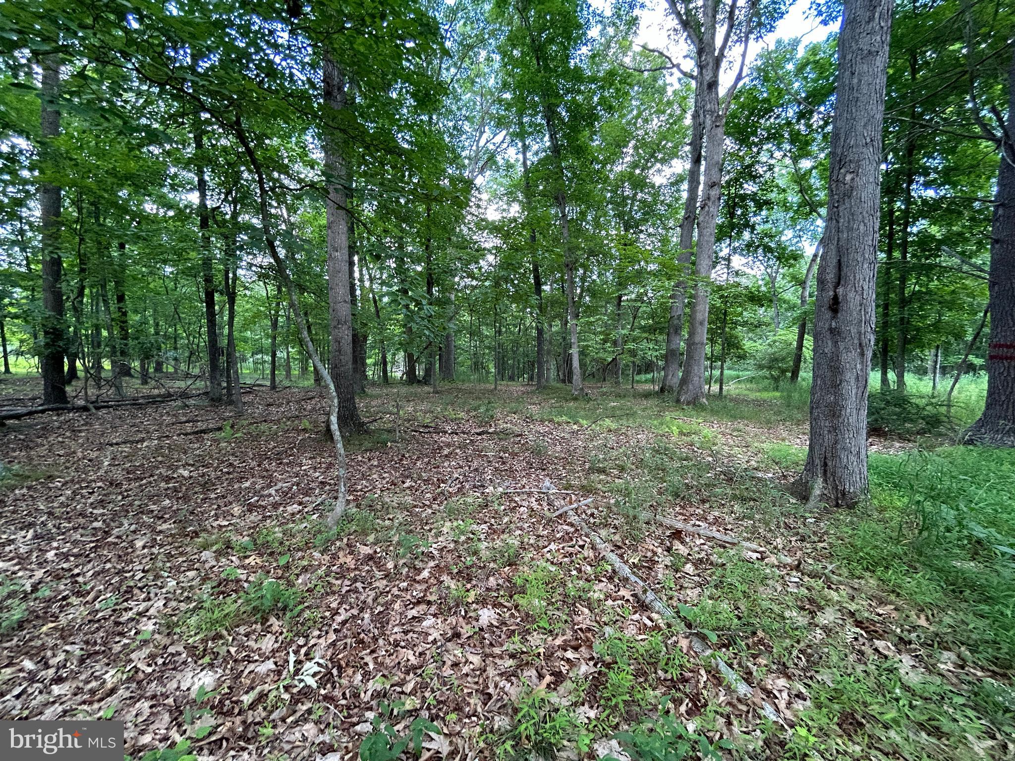 MISTY MEADOWS - Land