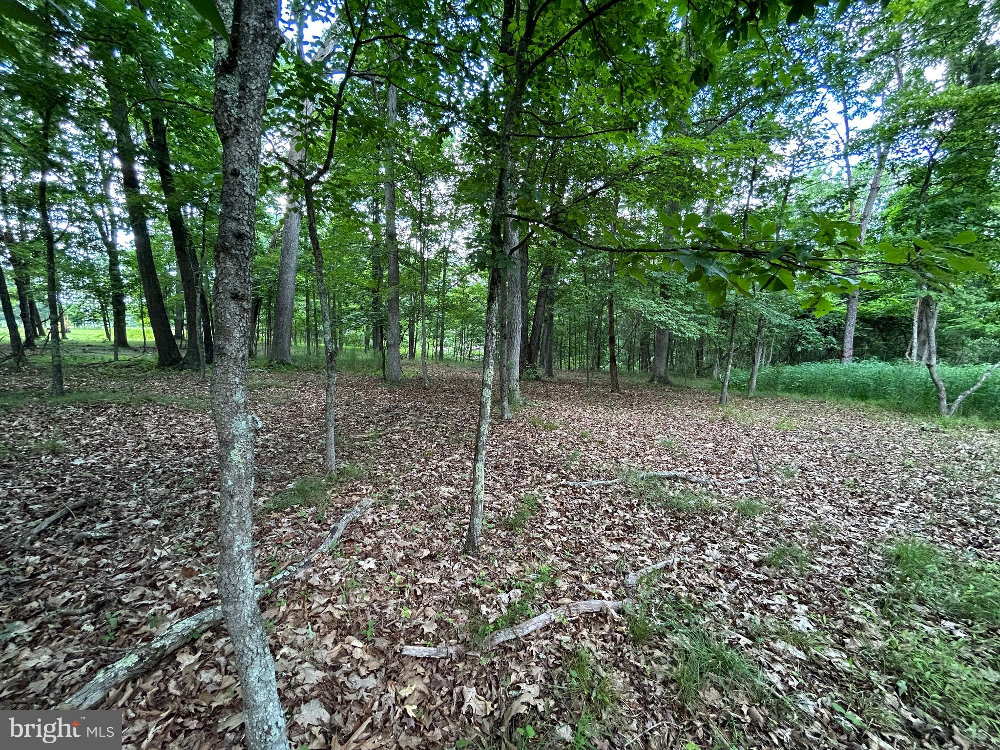 MISTY MEADOWS - Land