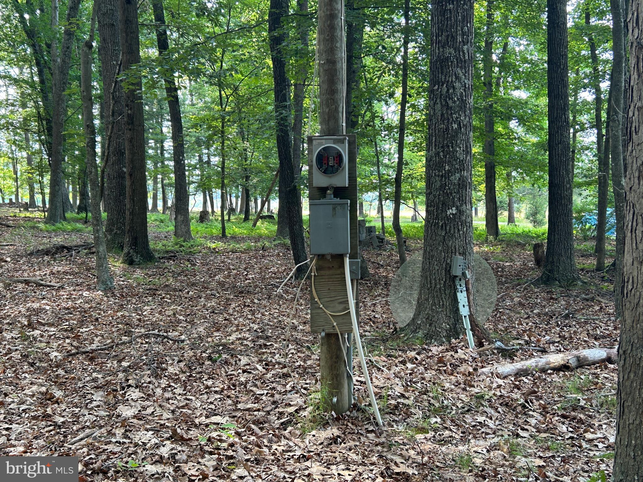 MISTY MEADOWS - Land