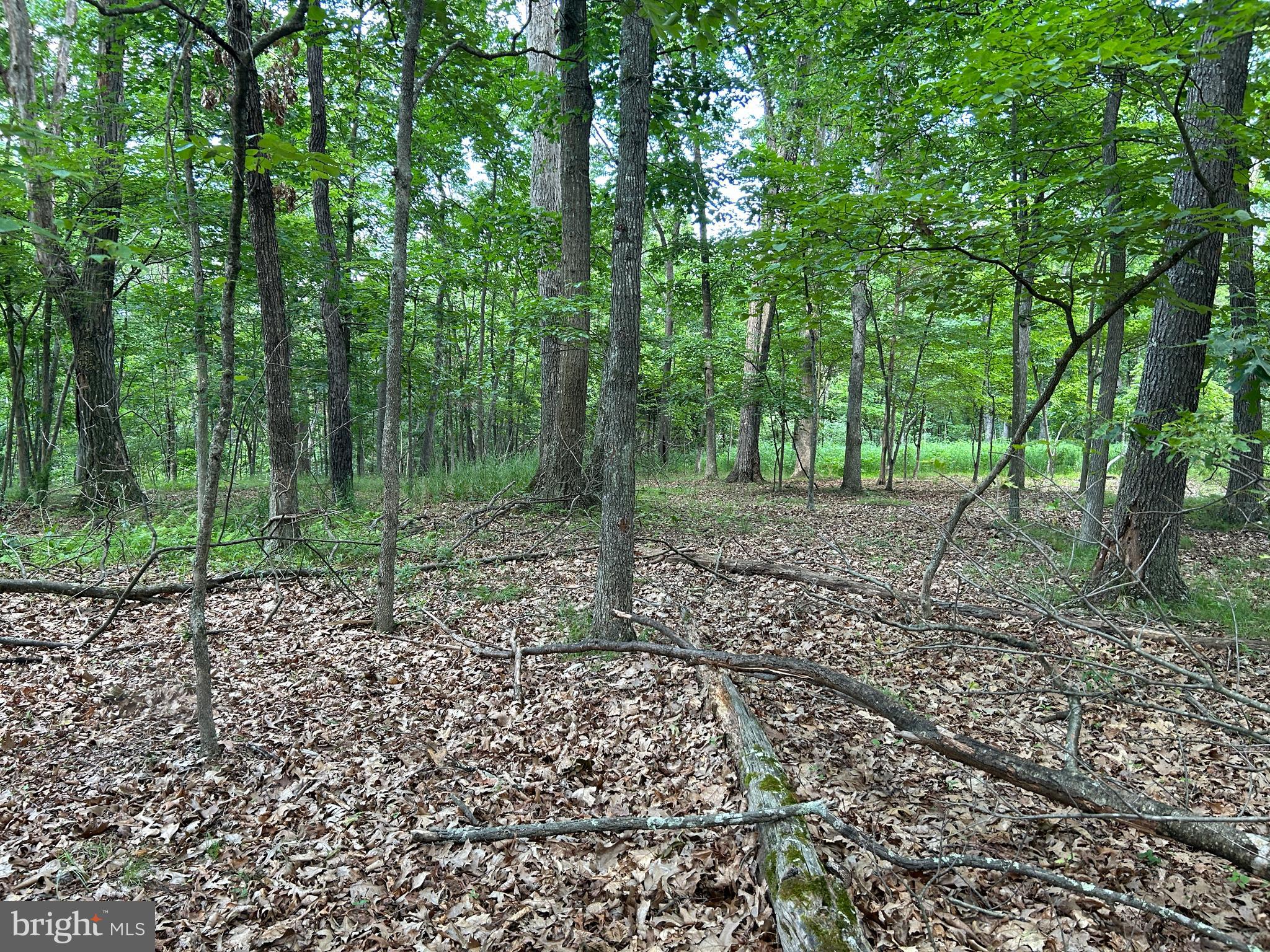 MISTY MEADOWS - Land