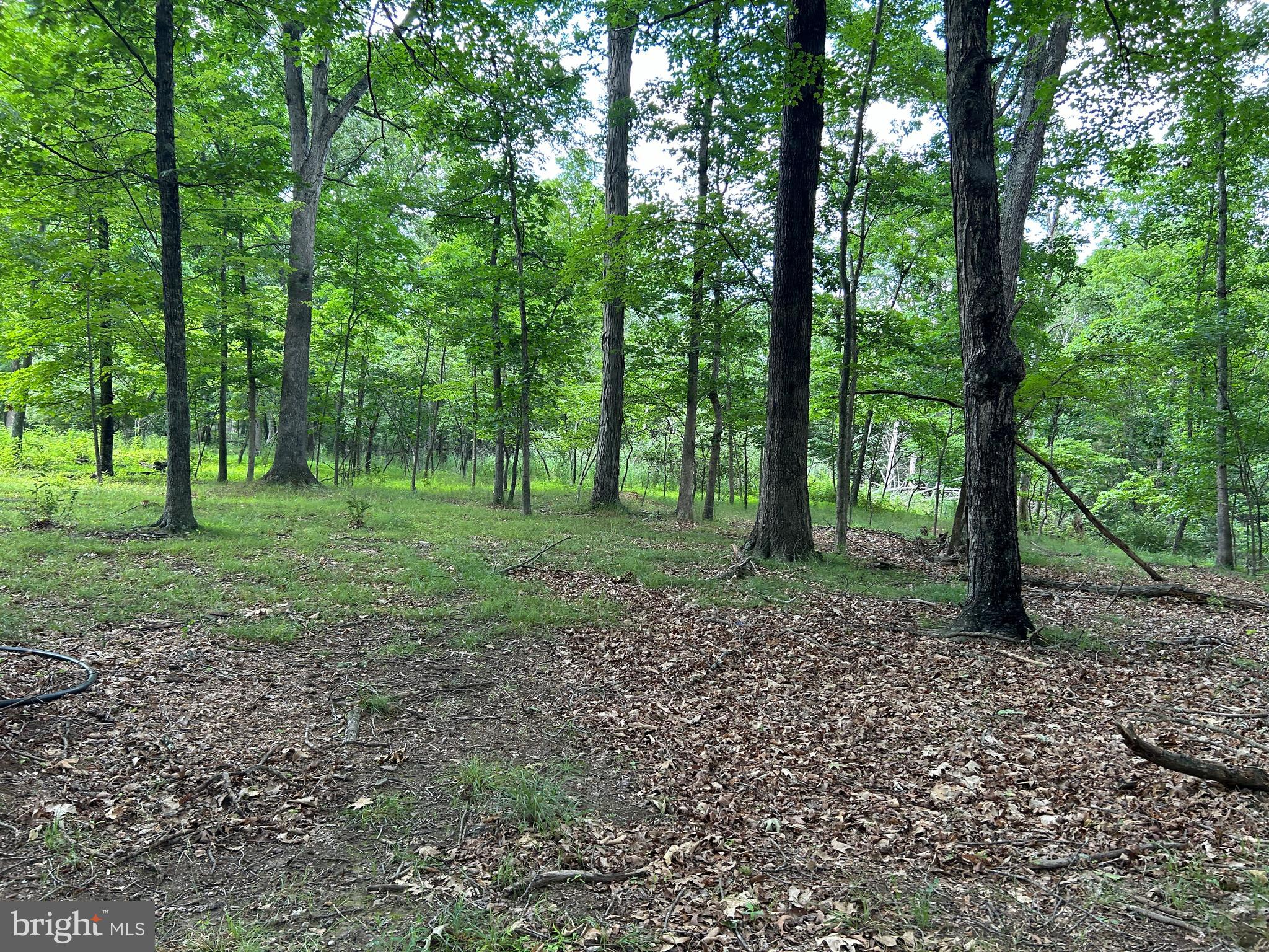 MISTY MEADOWS - Land