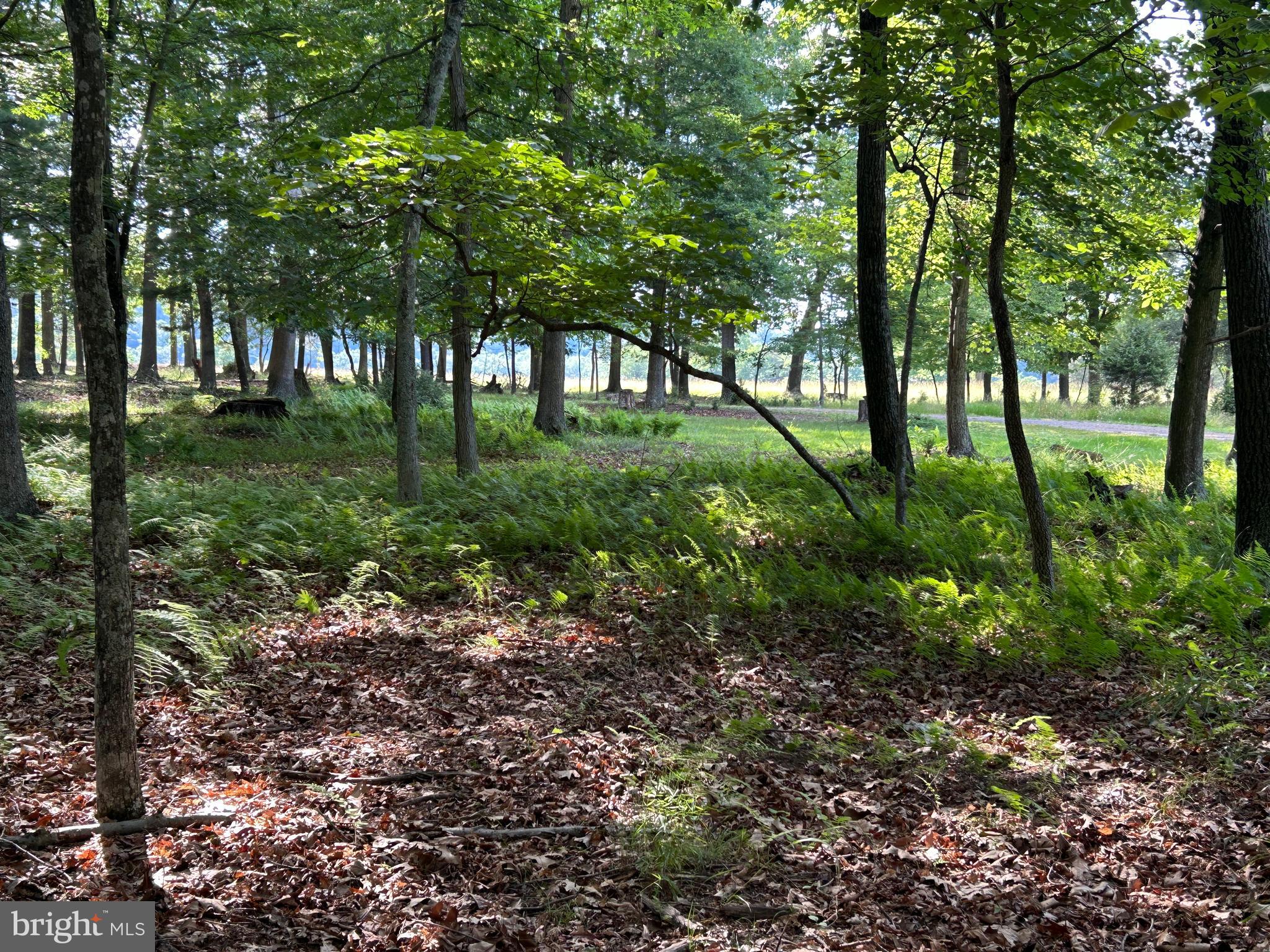 MISTY MEADOWS - Land