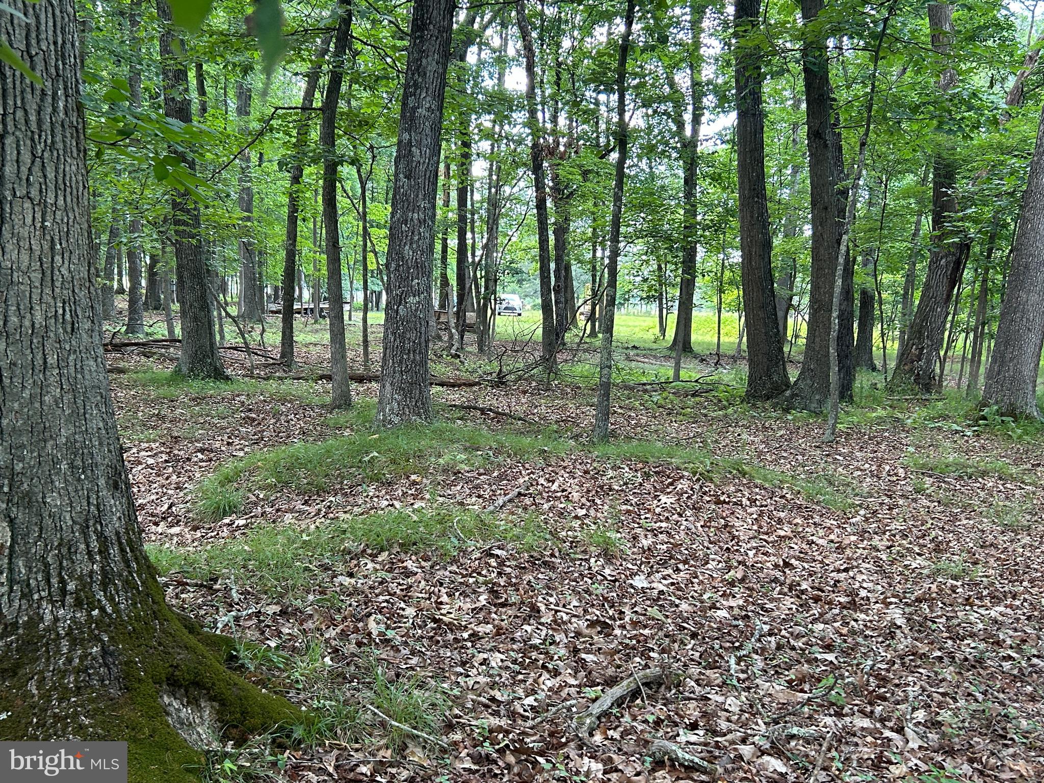 MISTY MEADOWS - Land