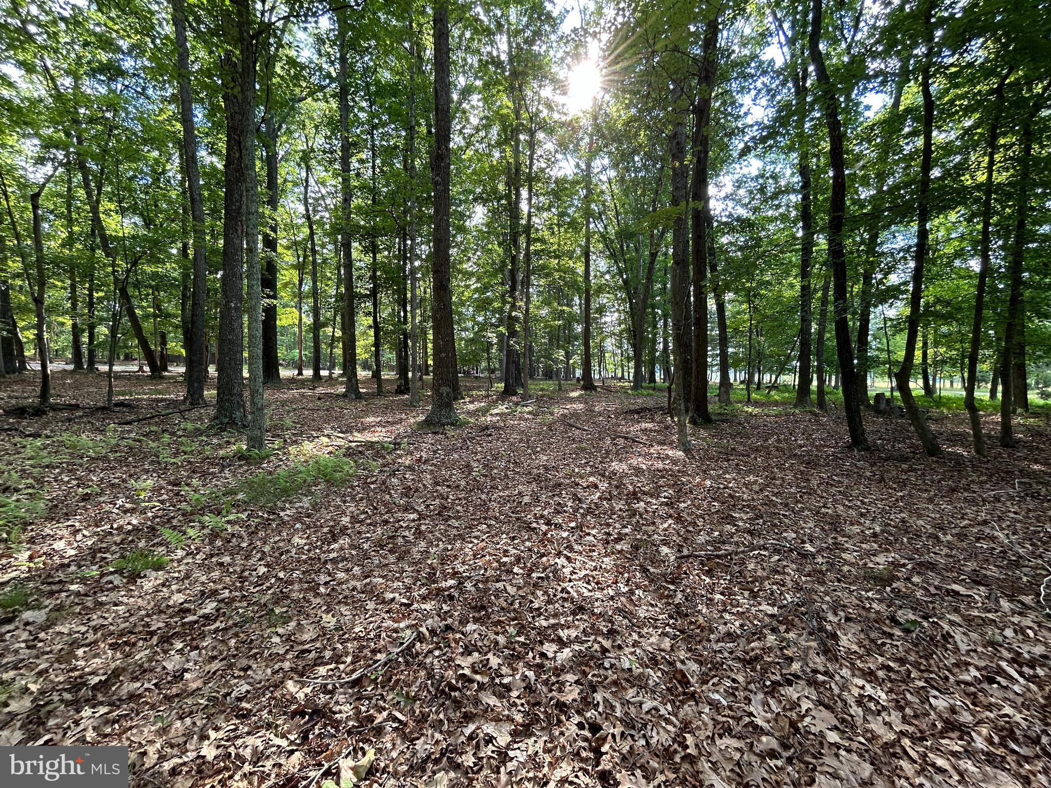 MISTY MEADOWS - Land