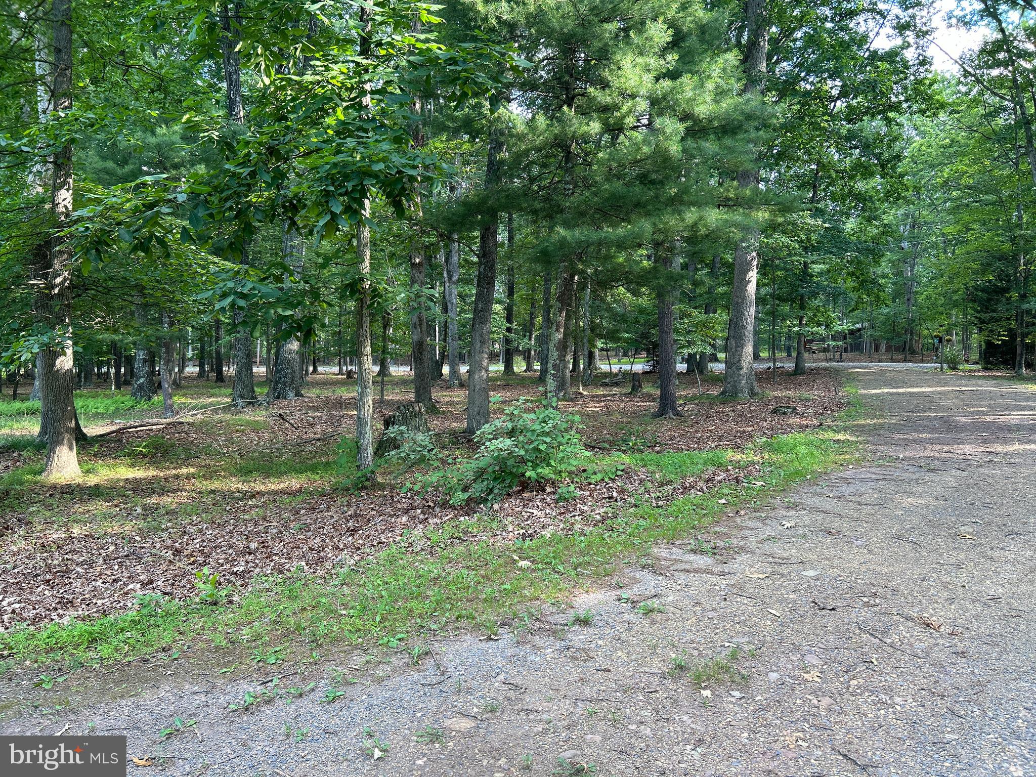 MISTY MEADOWS - Land