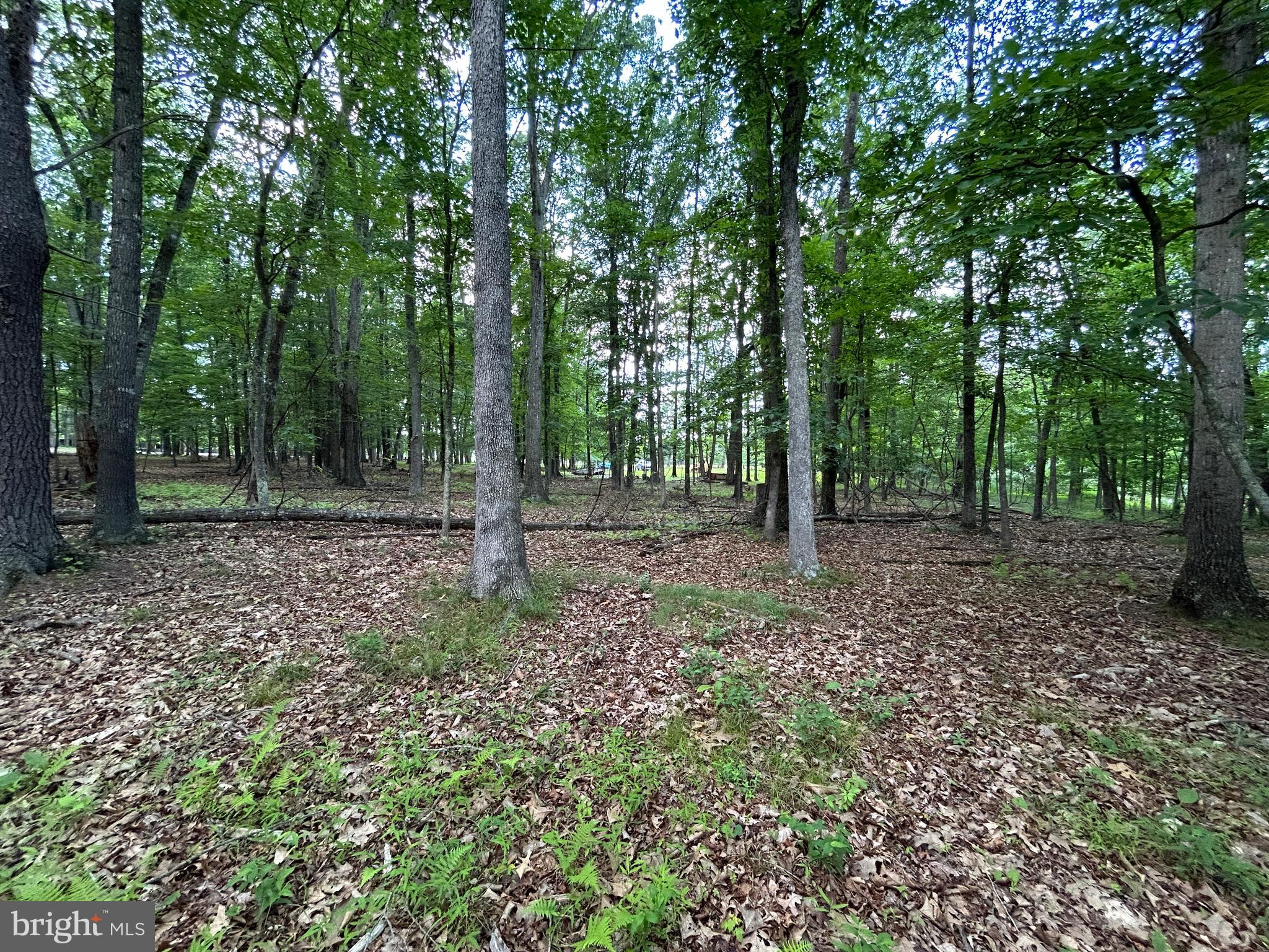 MISTY MEADOWS - Land