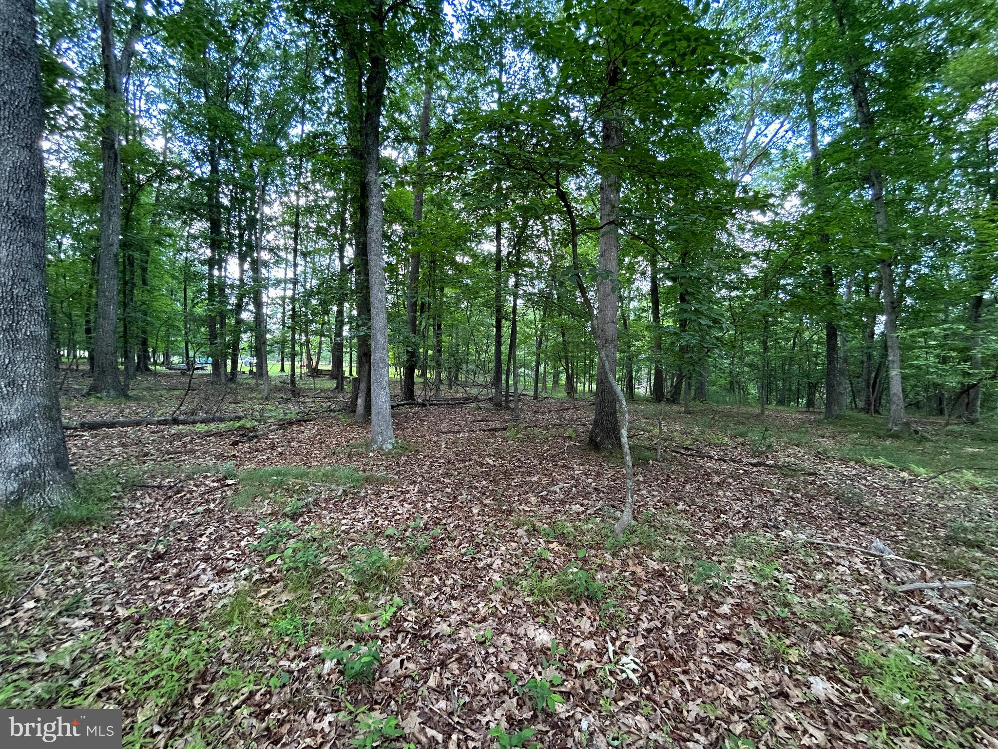 MISTY MEADOWS - Land