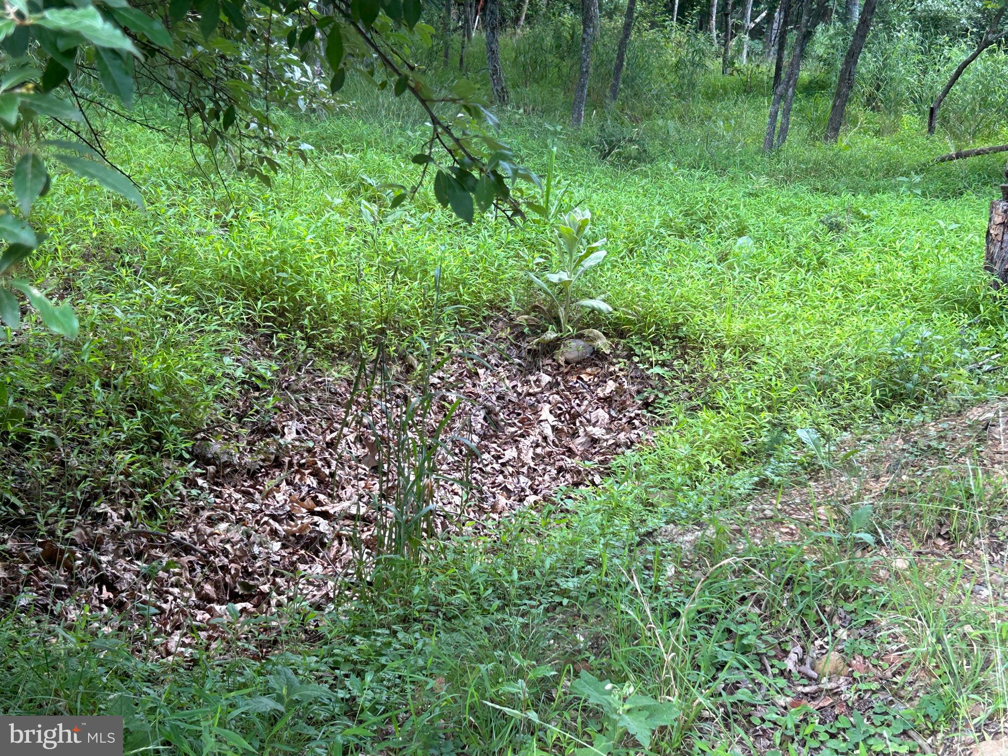 MISTY MEADOWS - Land