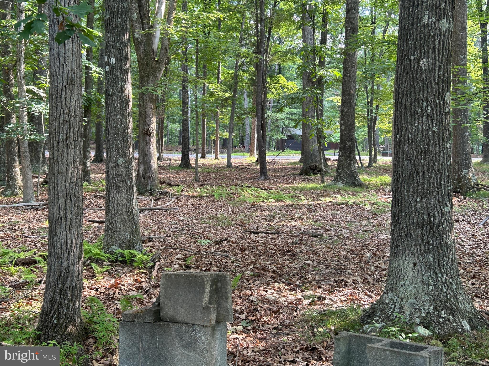 MISTY MEADOWS - Land