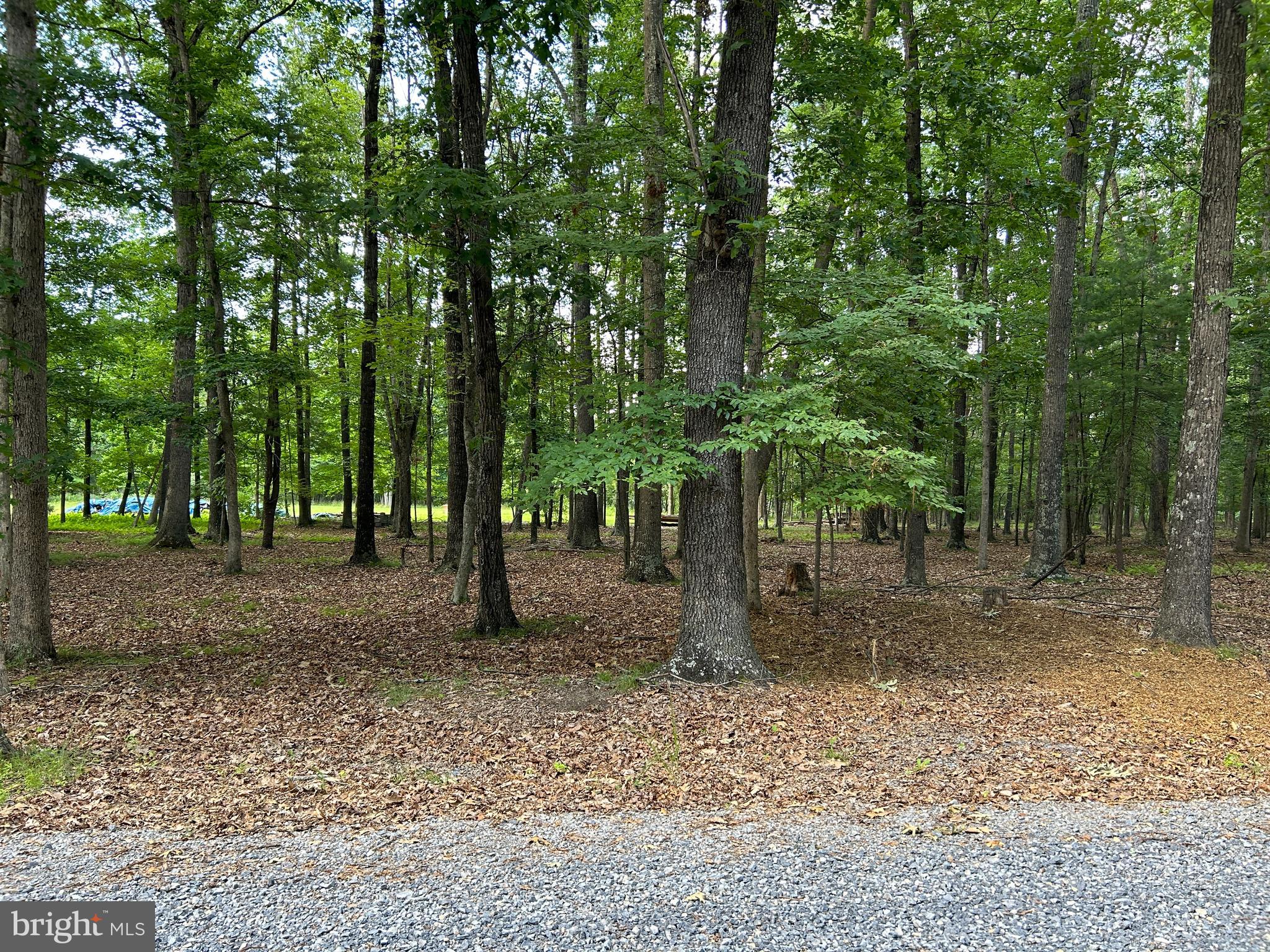MISTY MEADOWS - Land