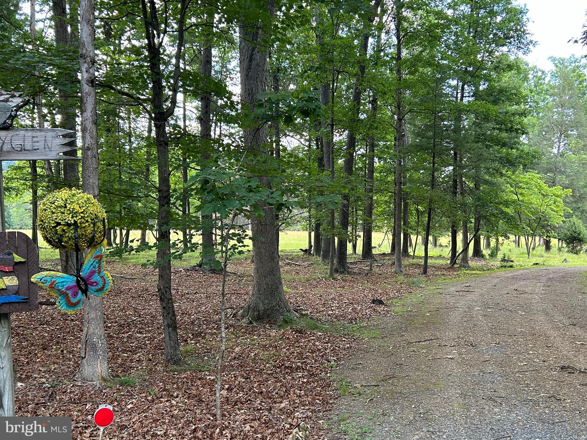 MISTY MEADOWS - Land