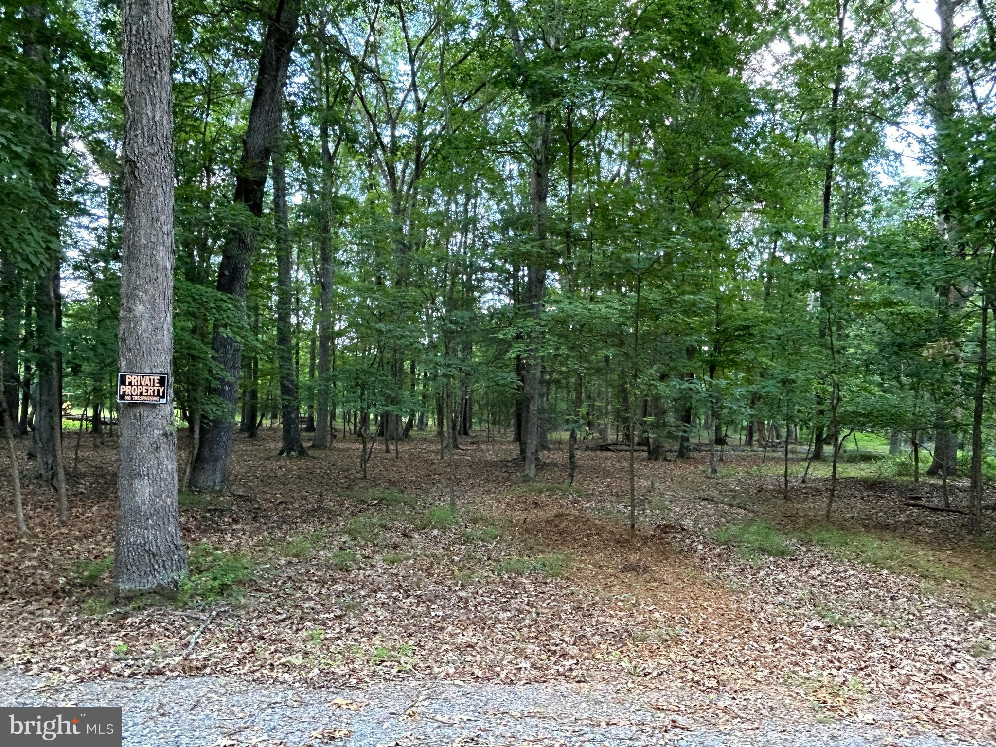 MISTY MEADOWS - Land