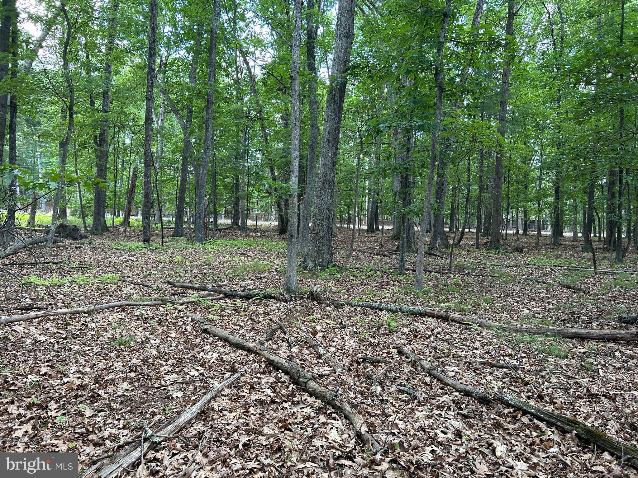 MISTY MEADOWS - Land