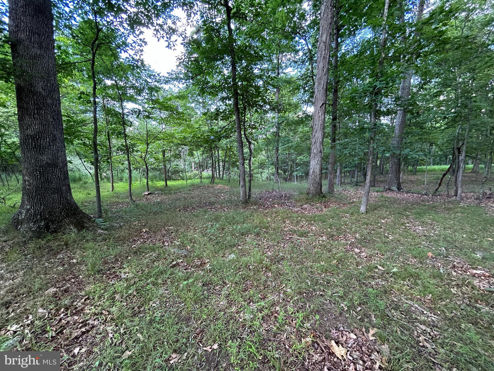 MISTY MEADOWS - Land