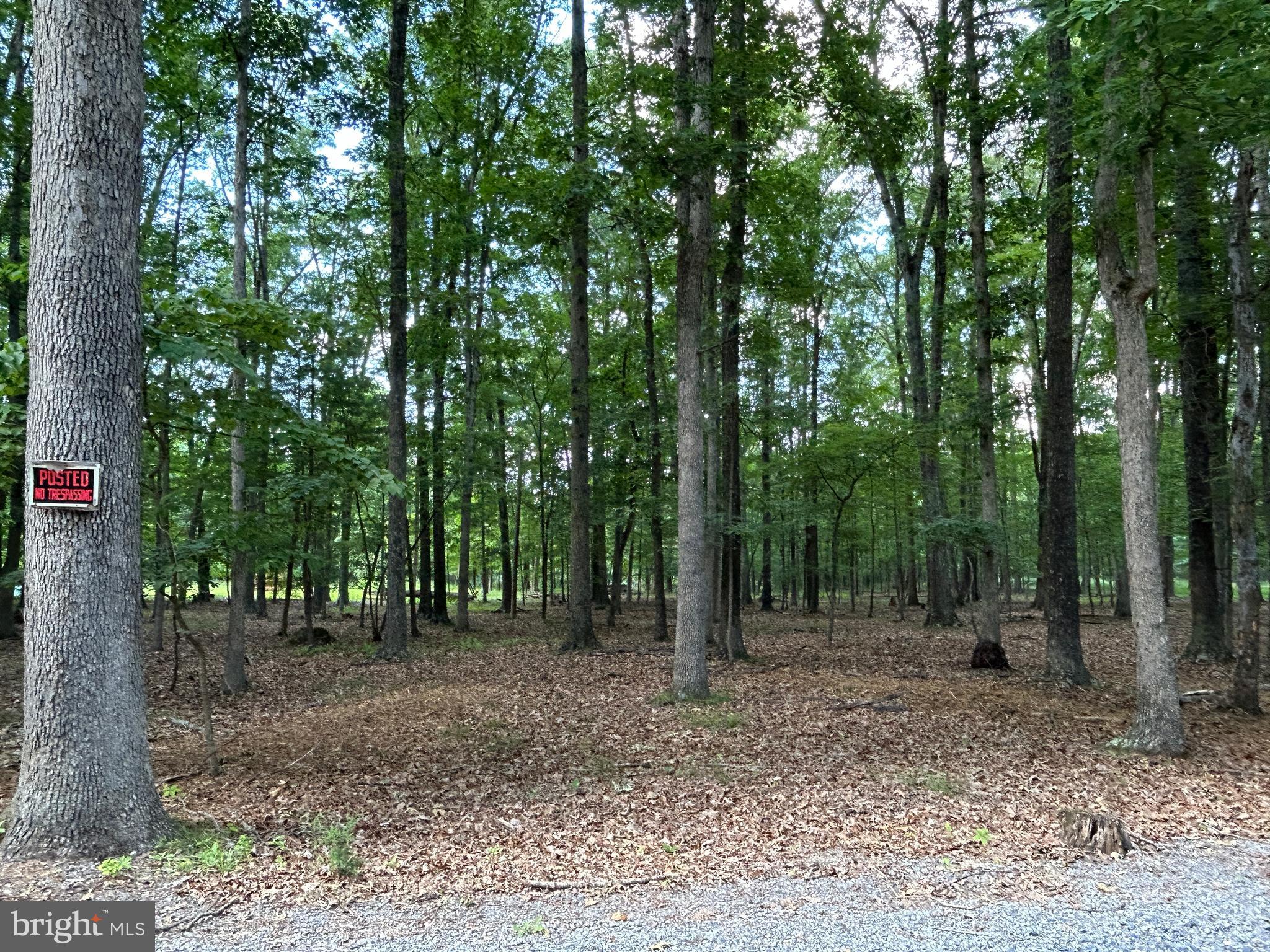 MISTY MEADOWS - Land