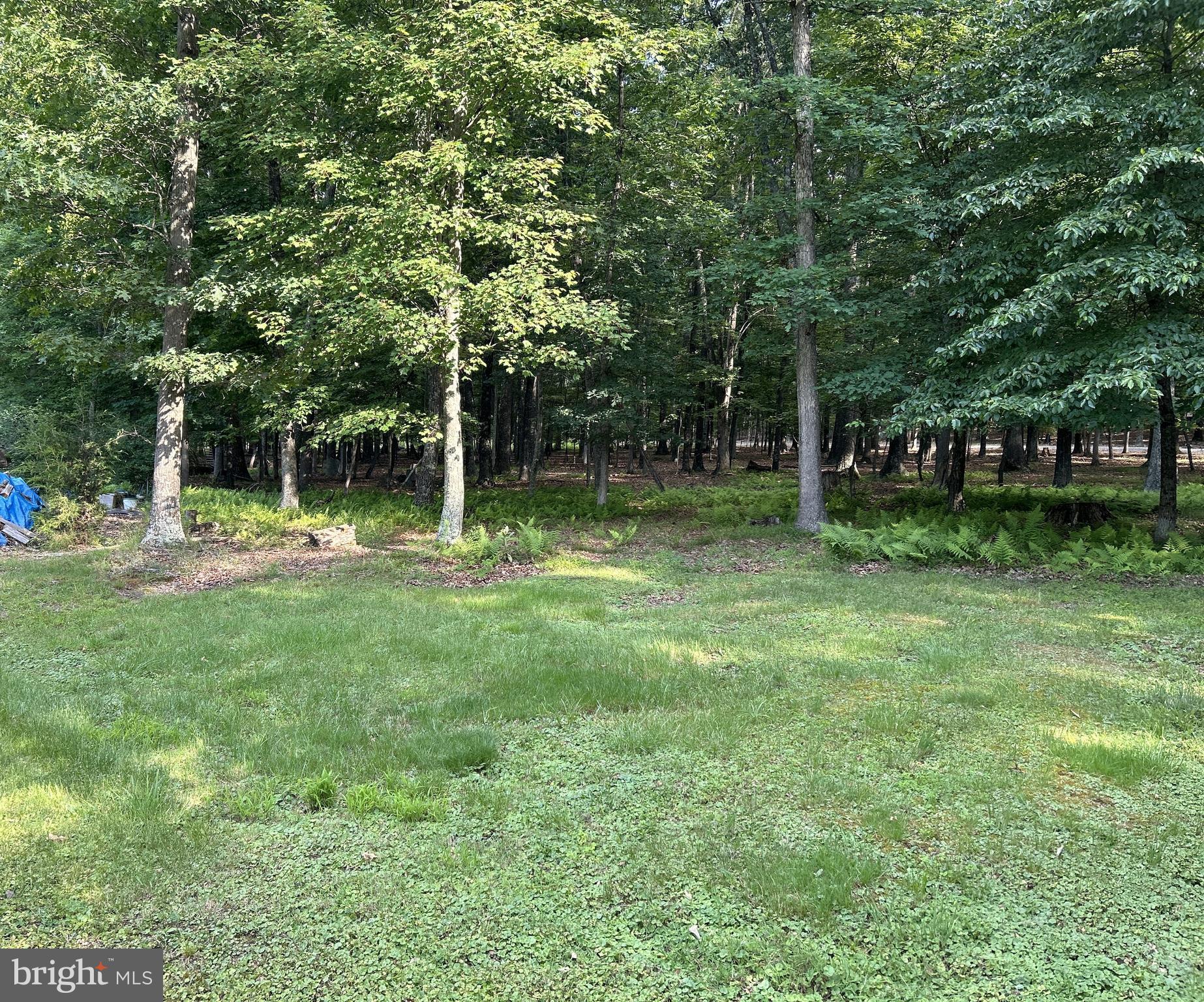 MISTY MEADOWS - Land