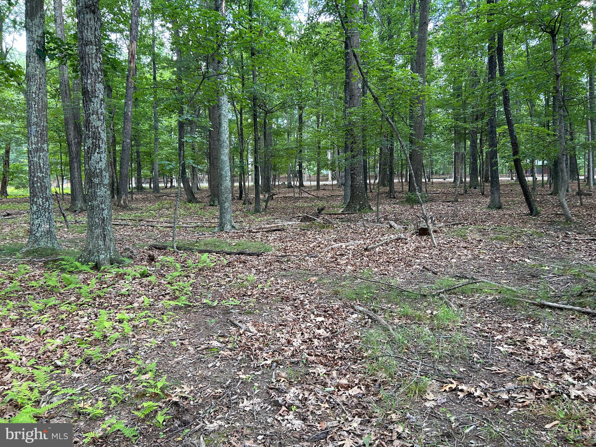 MISTY MEADOWS - Land