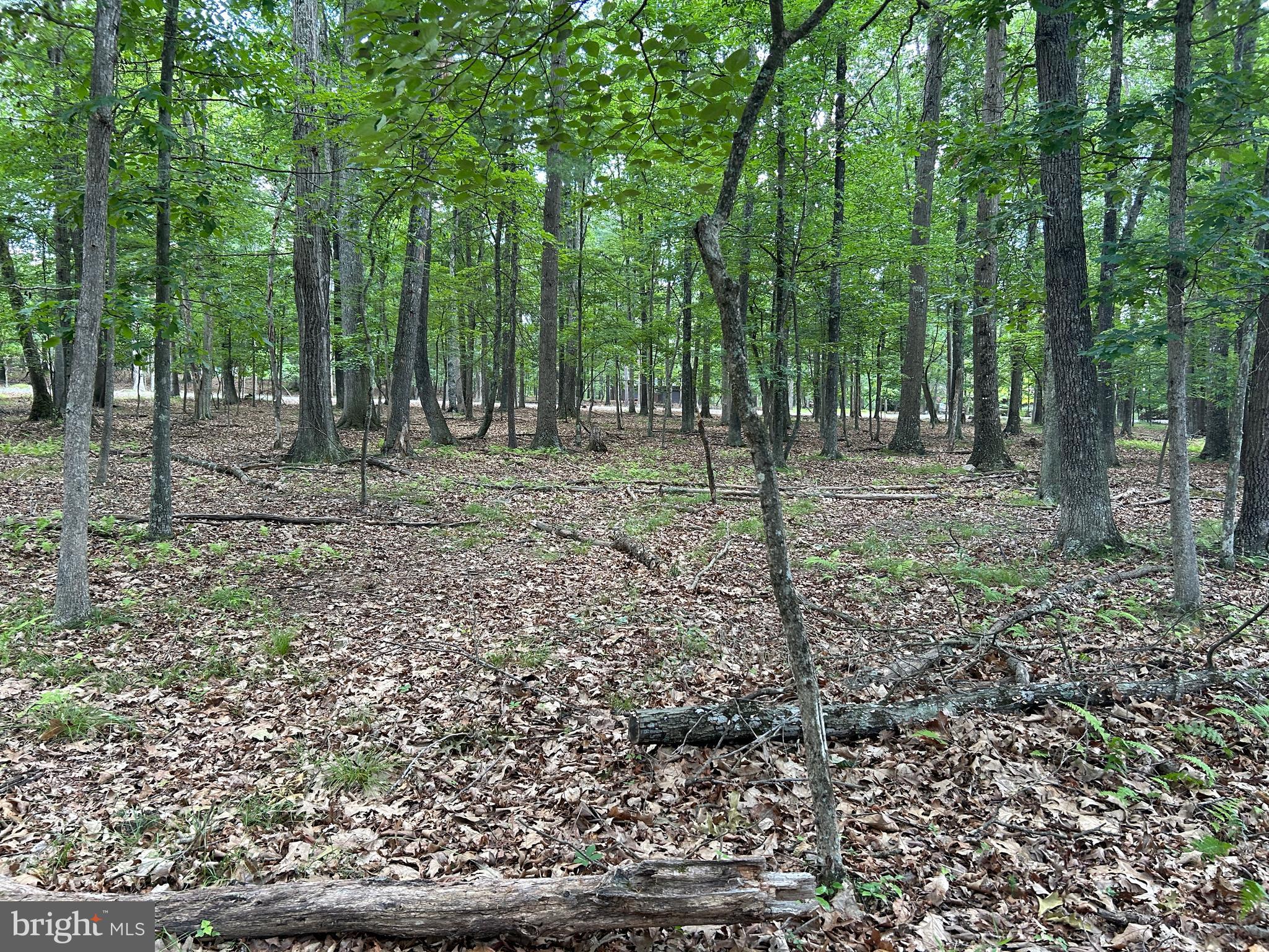 MISTY MEADOWS - Land