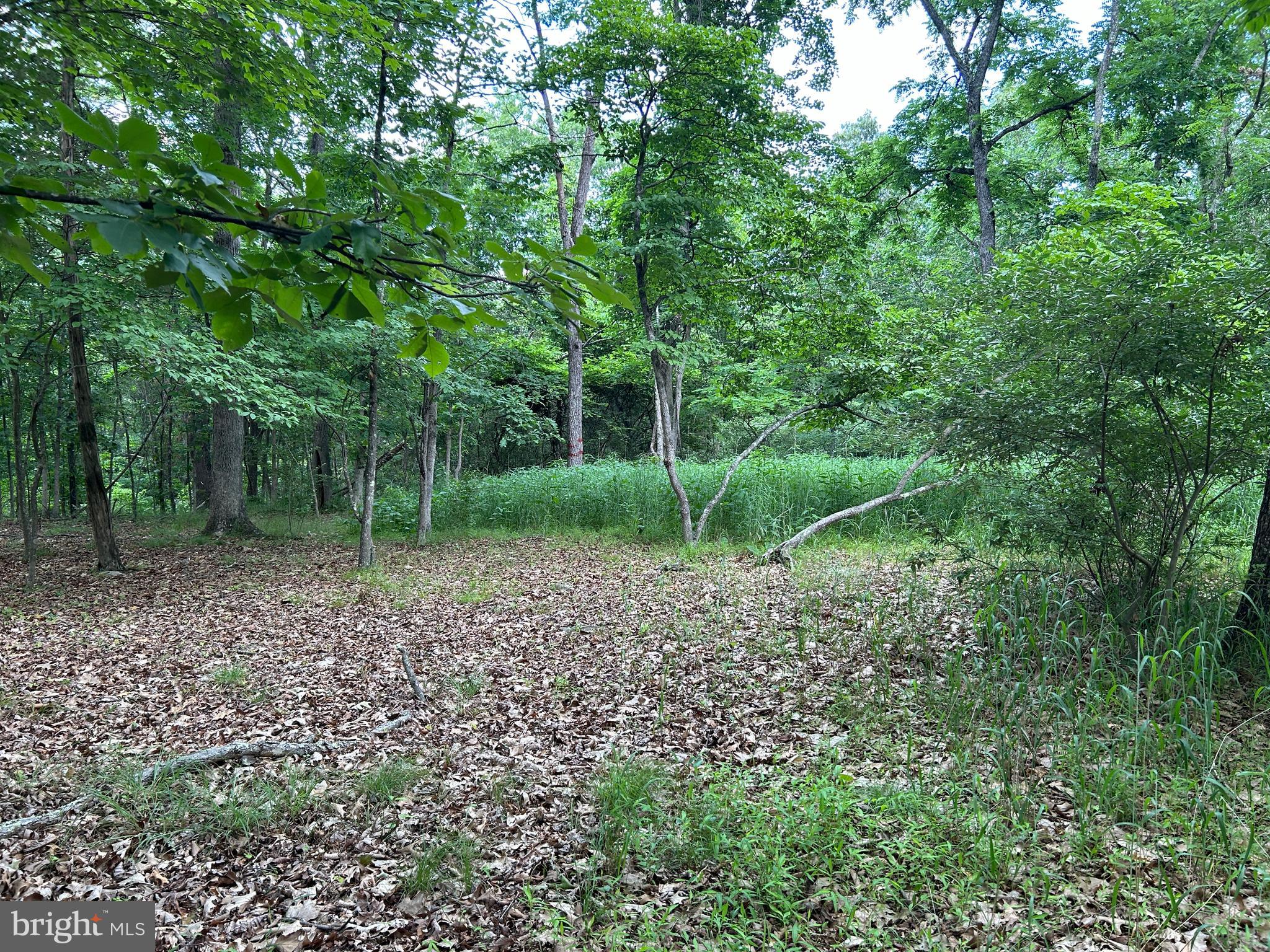 MISTY MEADOWS - Land