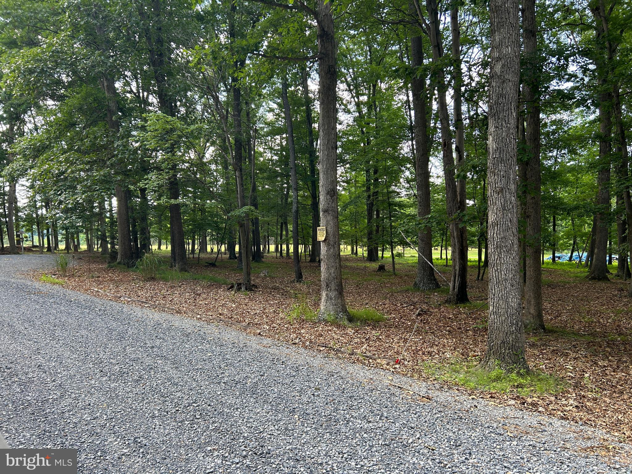 MISTY MEADOWS - Land