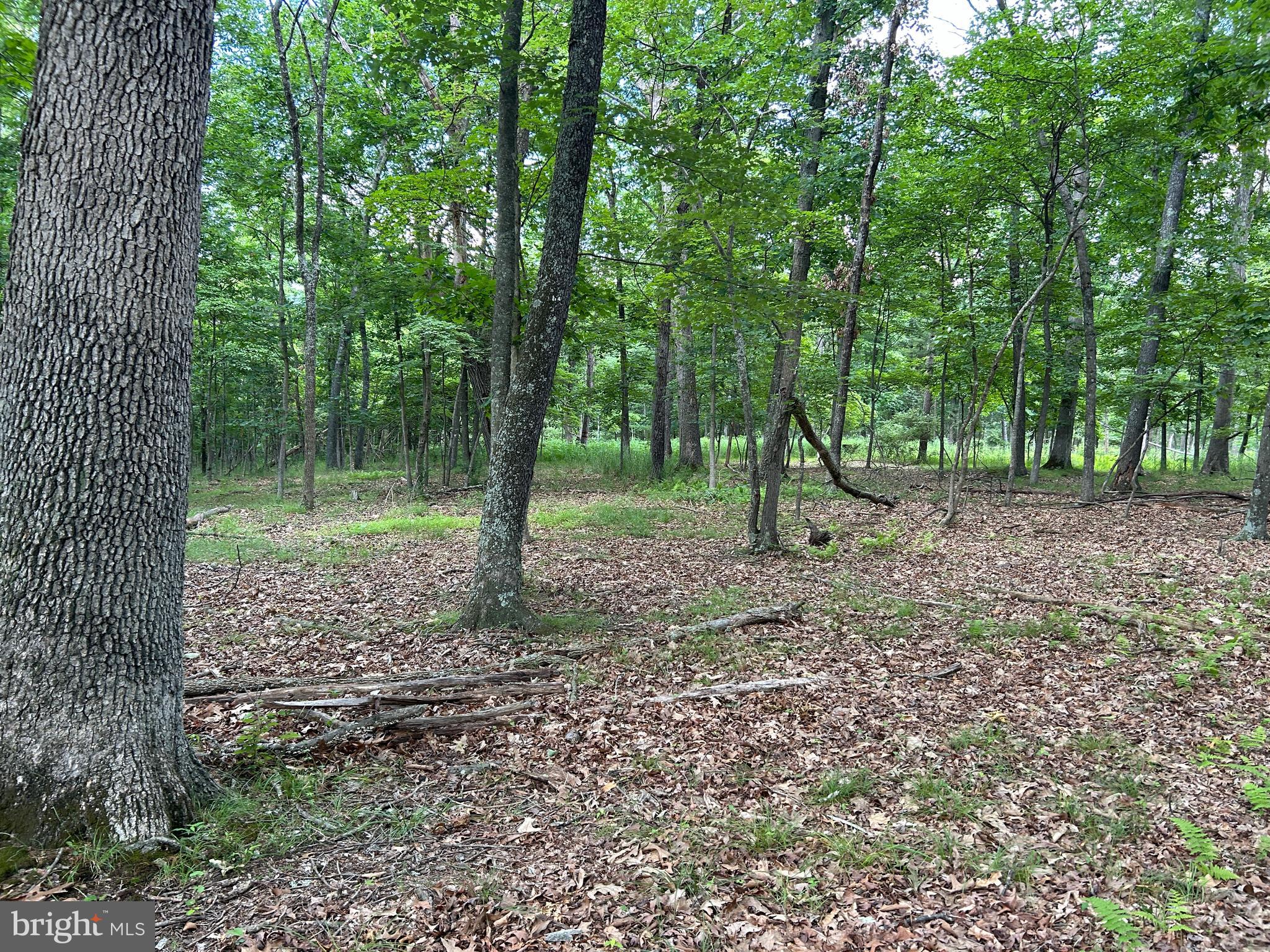 MISTY MEADOWS - Land