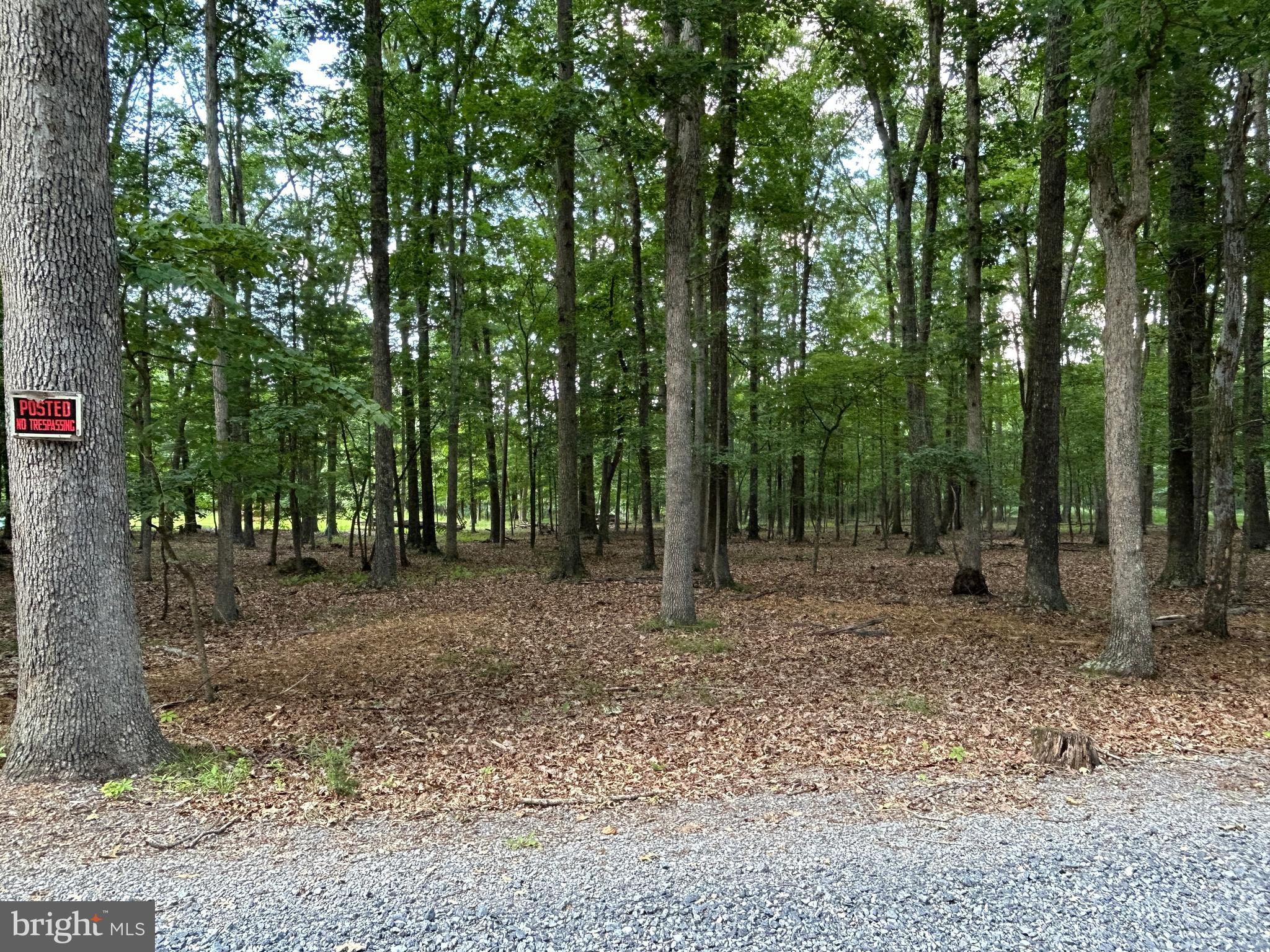 MISTY MEADOWS - Land