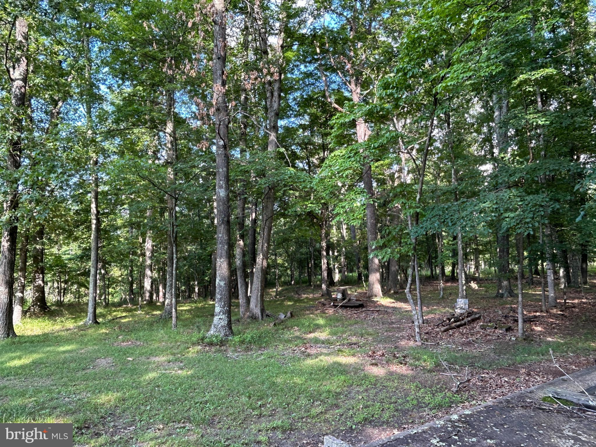 MISTY MEADOWS - Land