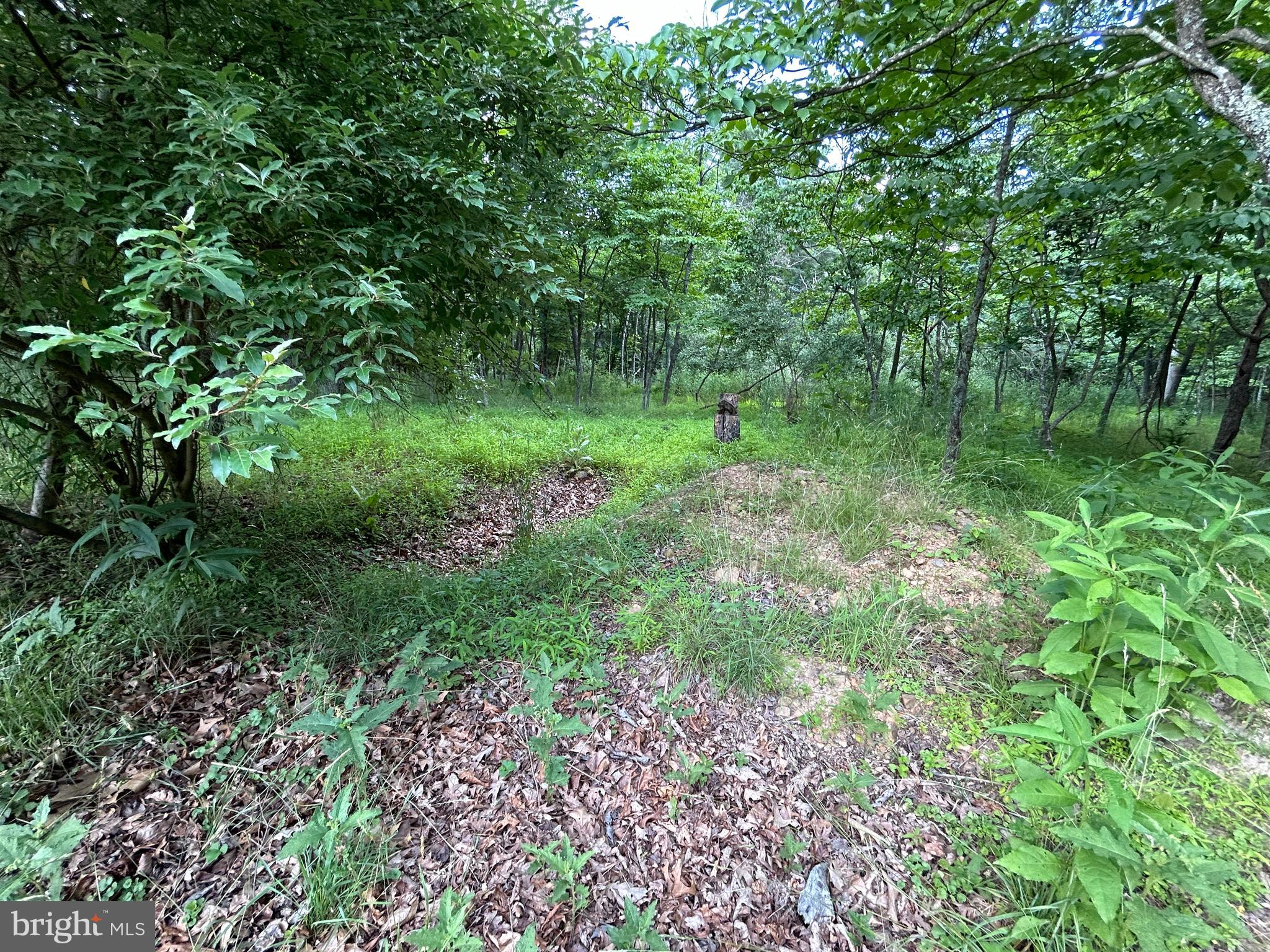 MISTY MEADOWS - Land