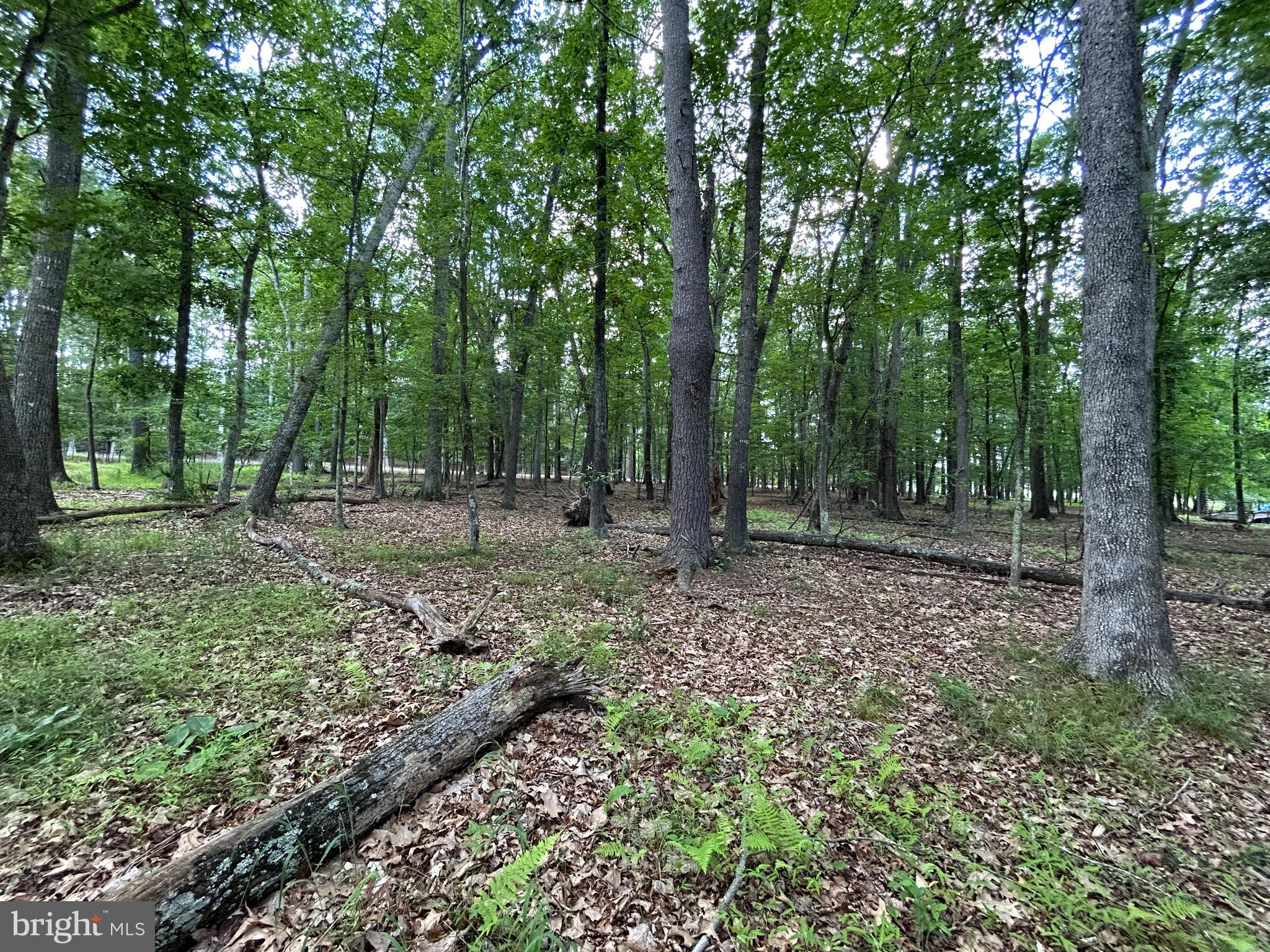 MISTY MEADOWS - Land