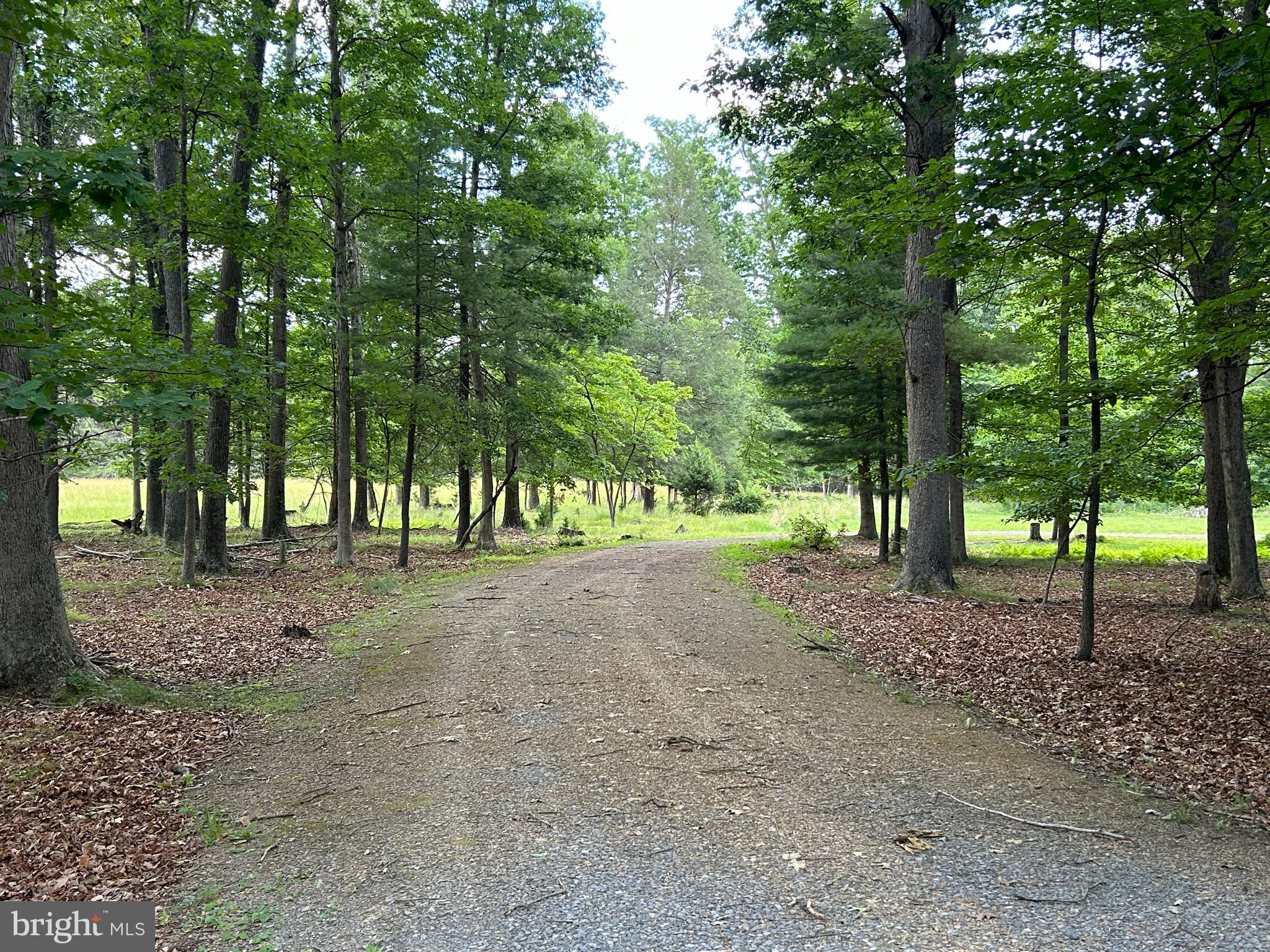 MISTY MEADOWS - Land