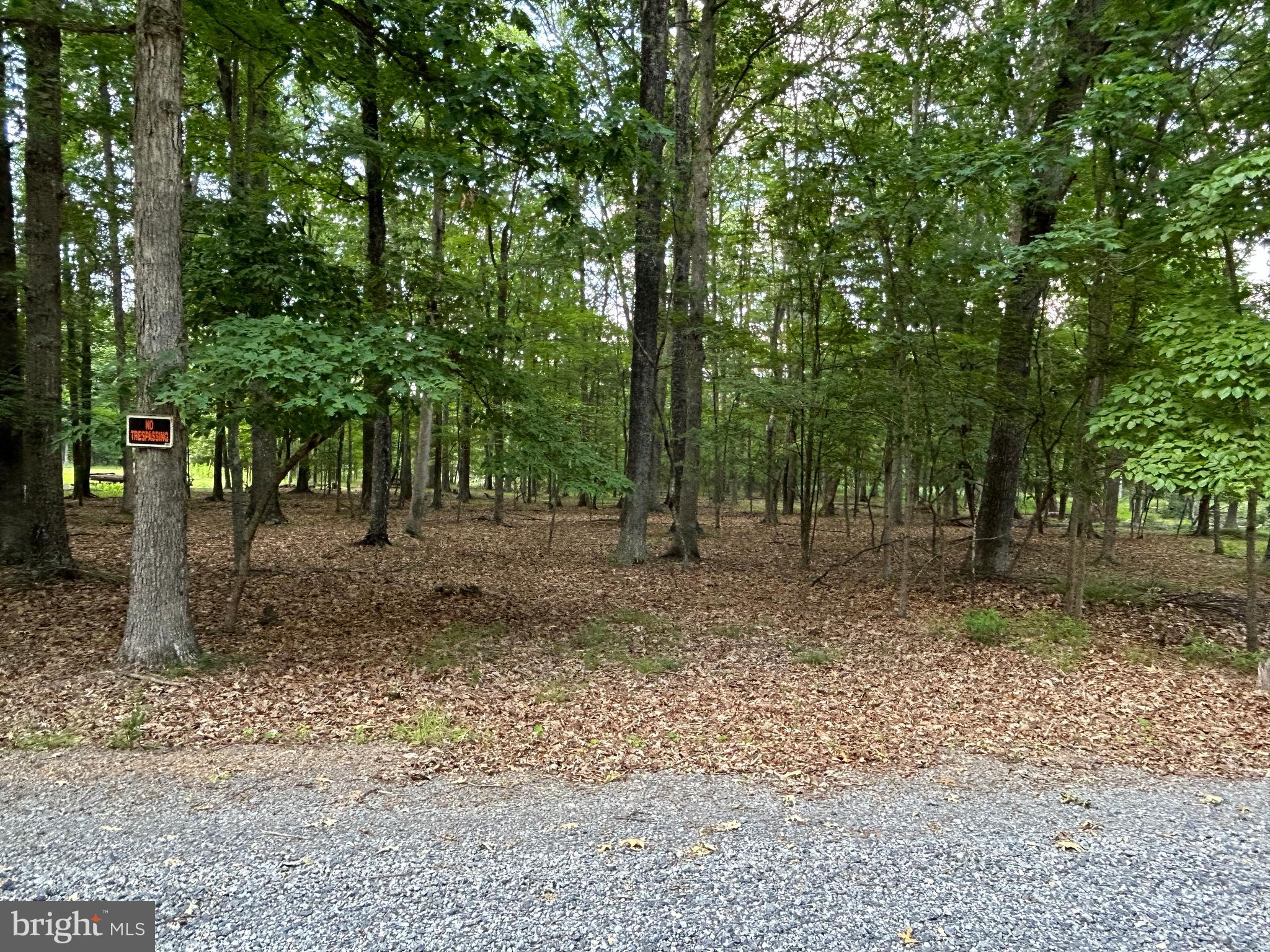 MISTY MEADOWS - Land