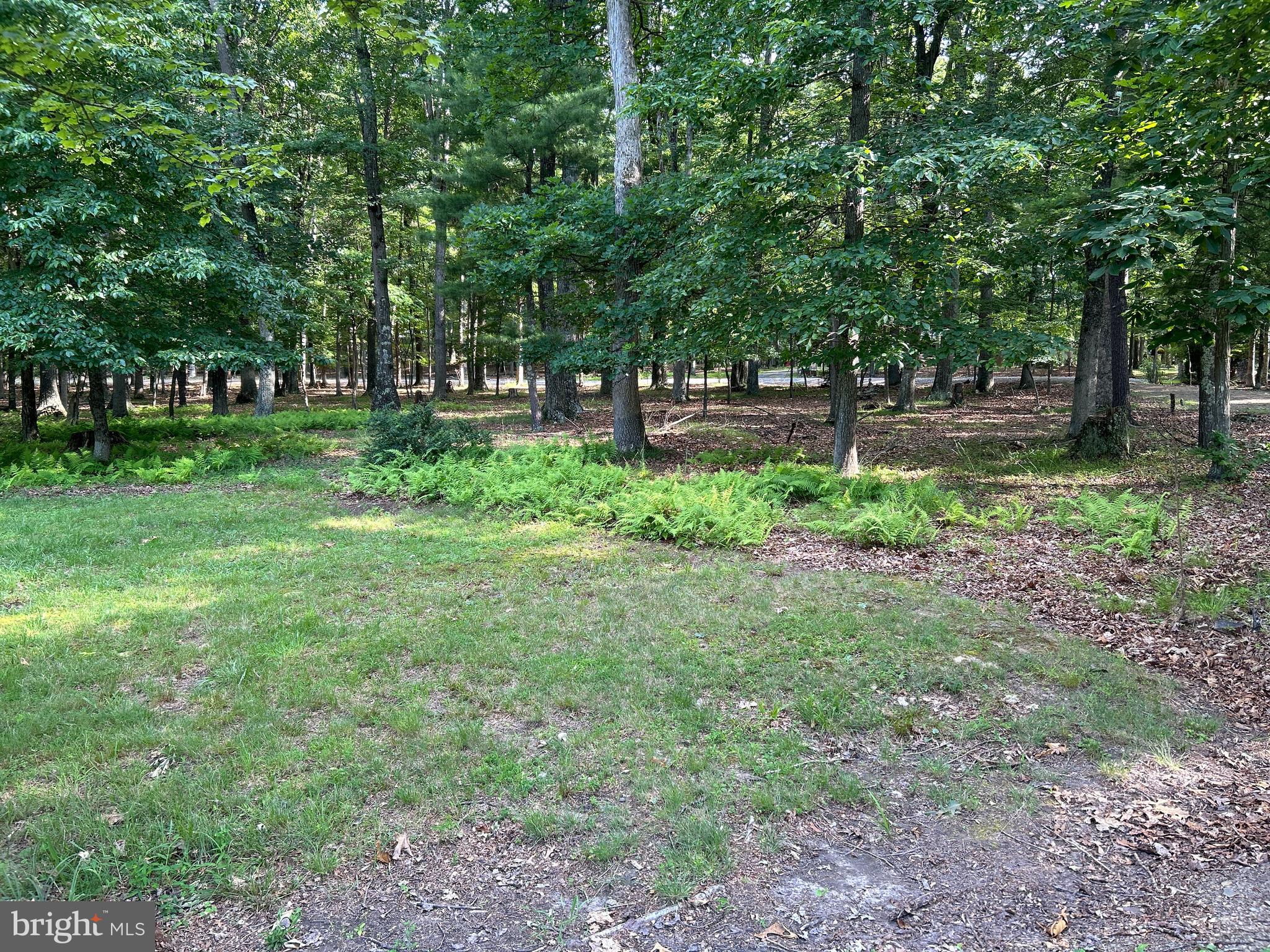 MISTY MEADOWS - Land