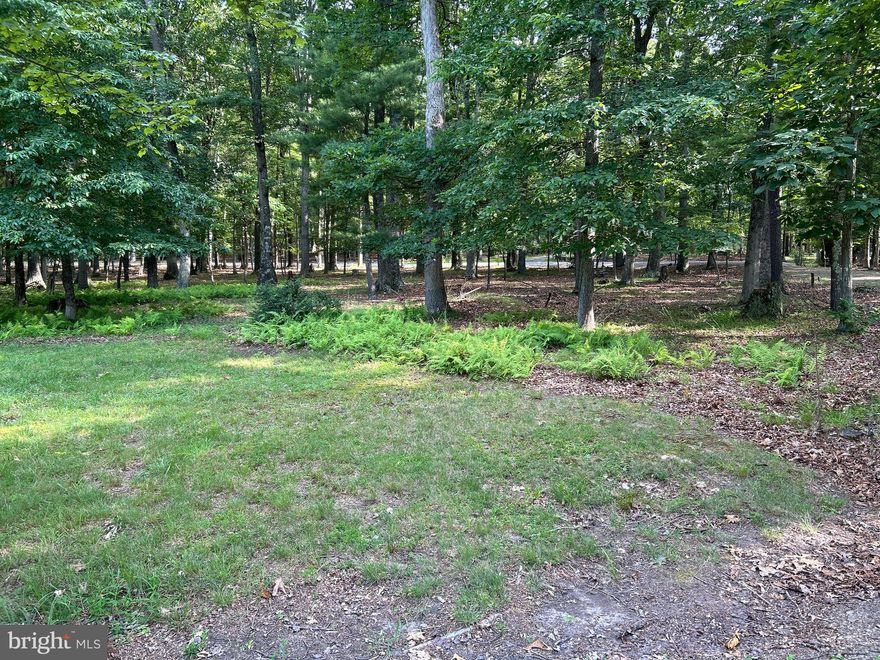 WHAT A BEAUTY!!! YOU DEFINITELY  HAVE TO SEE THIS TO BELIEVE IT! BEAUTIFUL, LEVEL ( DID I SAY LEVEL?!?!) LOT IN THE GATED COMMUNITY OF MISTY MEADOWS WITH WELL, ELECTRIC AVAILABLE & PERK WITH PRIVATE RIVER ACCESS ON THE CACAPON RIVER, WEST VIRGINIA’S CLEANEST RIVER. ENJOY TUBING, KAYAKING, SWIMMING OR FISHING WITH AWESOME MOUNTAIN VIEWS. THERE IS A COMMUNITY COMMON AREA WITH A PAVILION OVERLOOKING THE RIVER, A GRILL, PICNIC TABLES AND BASKETBALL  & JUST A SHORT DISTANCE FROM THE PROPERTY!